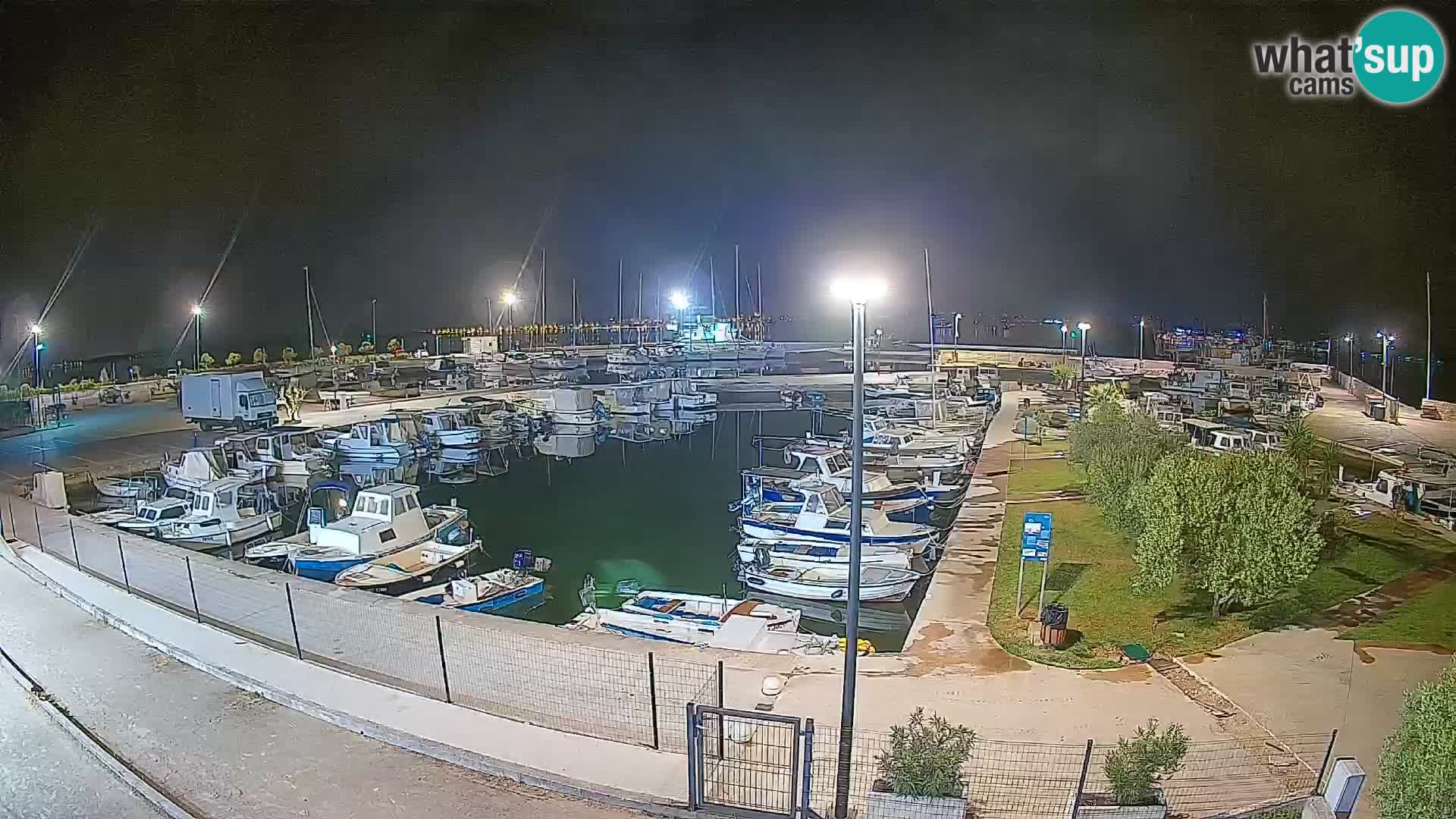 Webcam Live Tkon – Marina