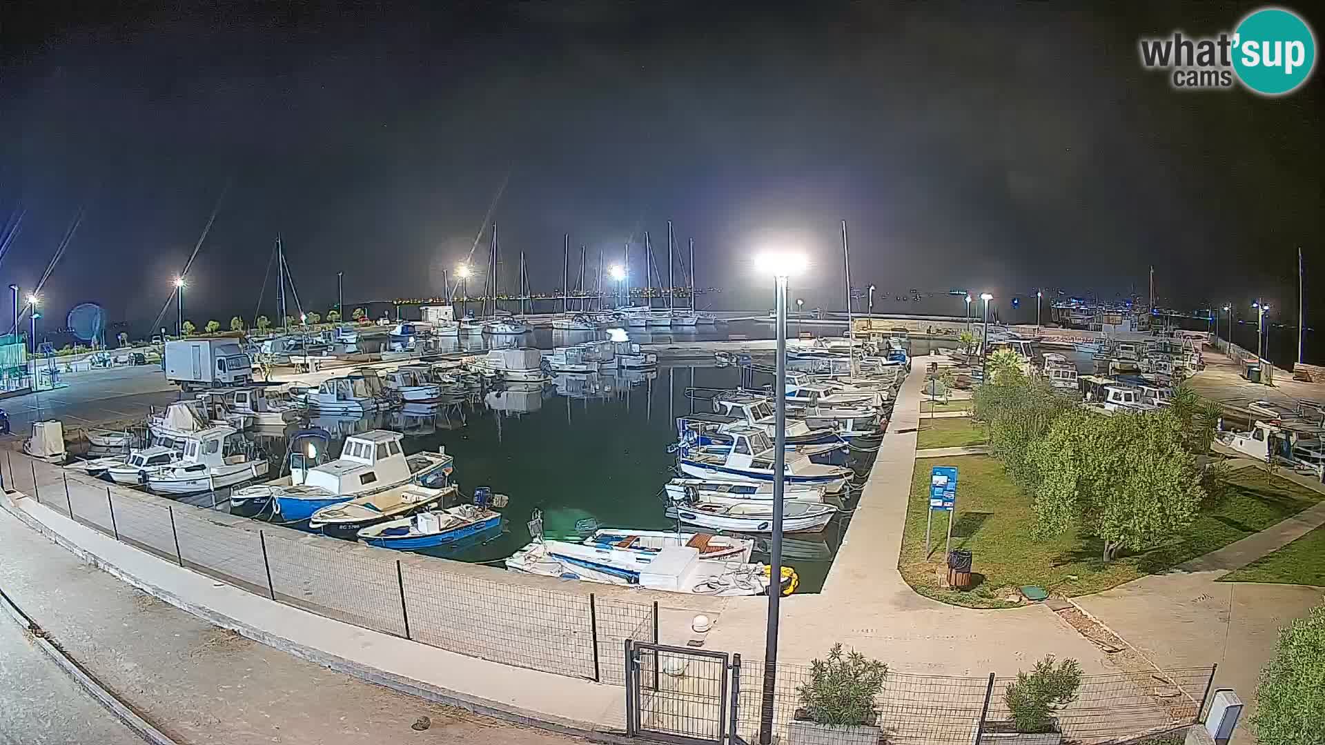Webcam Live Tkon – Marina