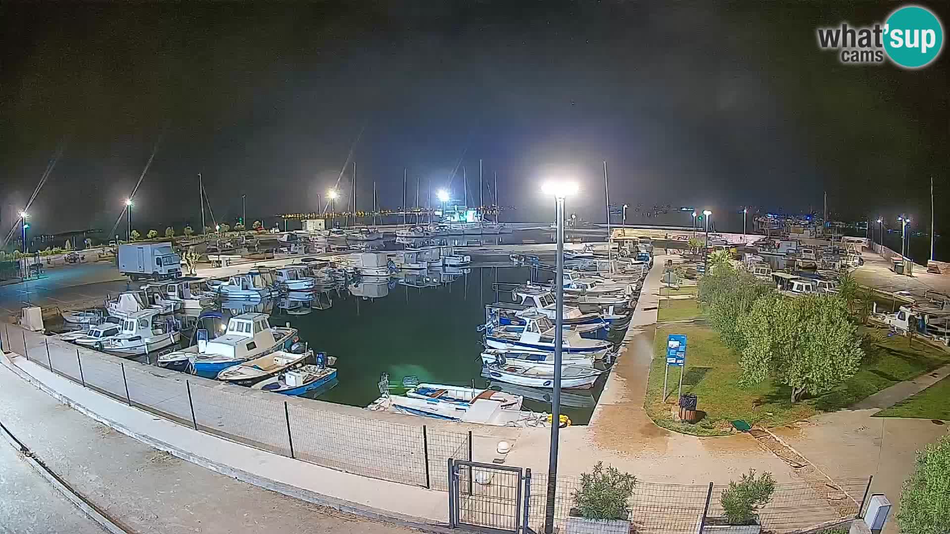 Spletna kamera Tkon – Marina