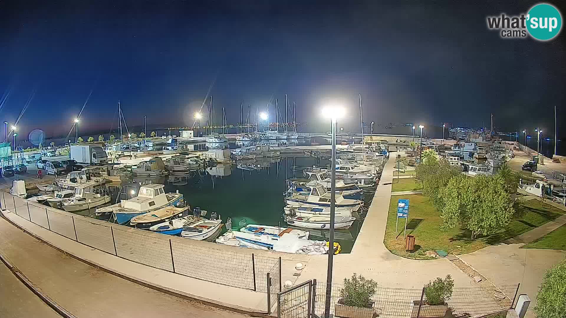 Webcam Live Tkon – Marina