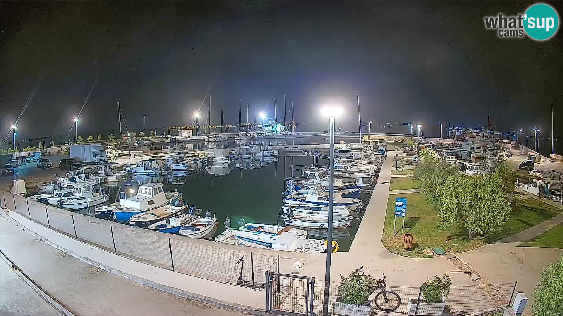 Webcam Live Tkon – Yachthafen