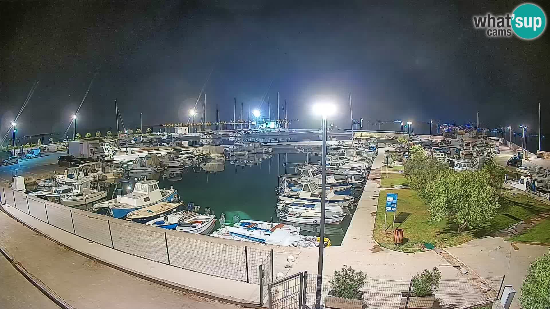 Webcam Live Tkon – Marina