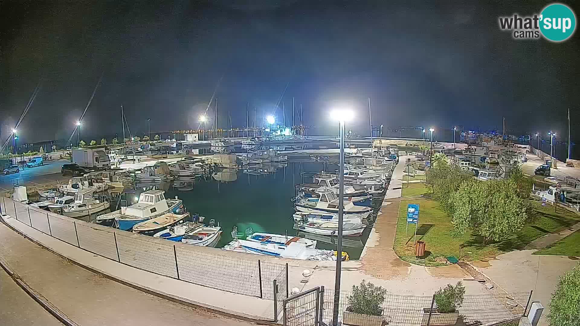 Webcam Live Tkon – Marina
