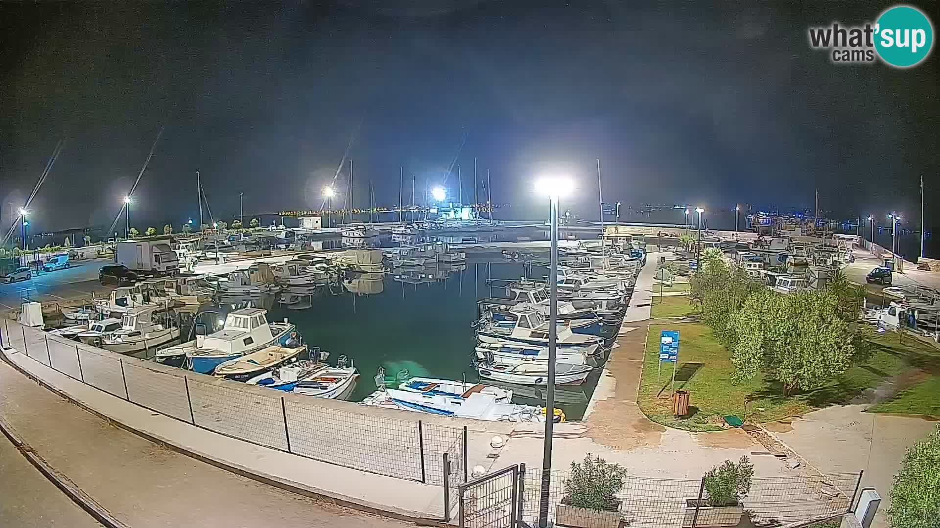 Webcam Live Tkon – Marina