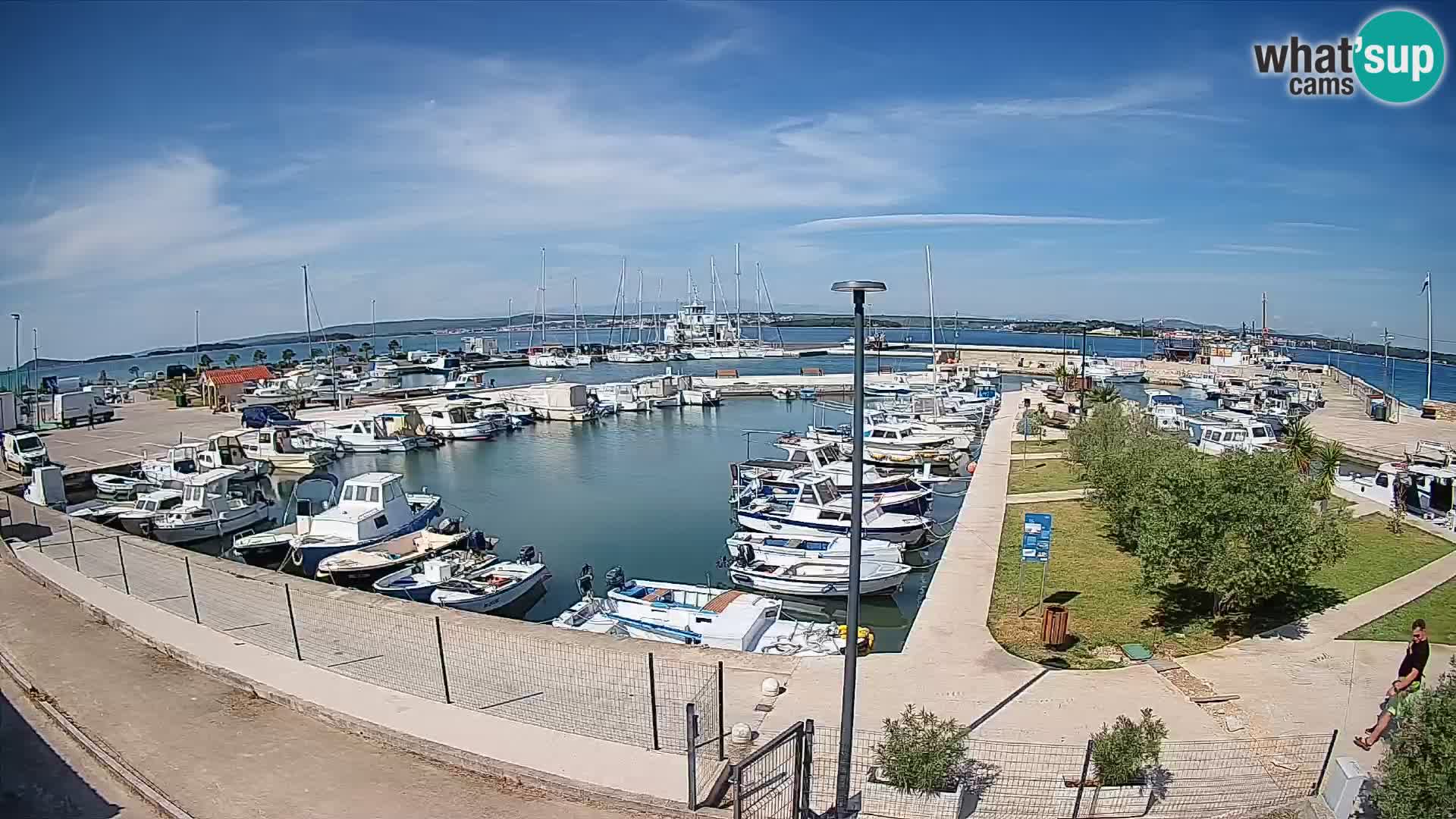 Webcam Live Tkon – puerto deportivo