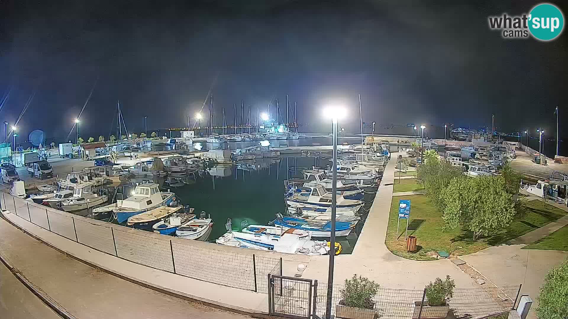 Webcam Live Tkon – Marina