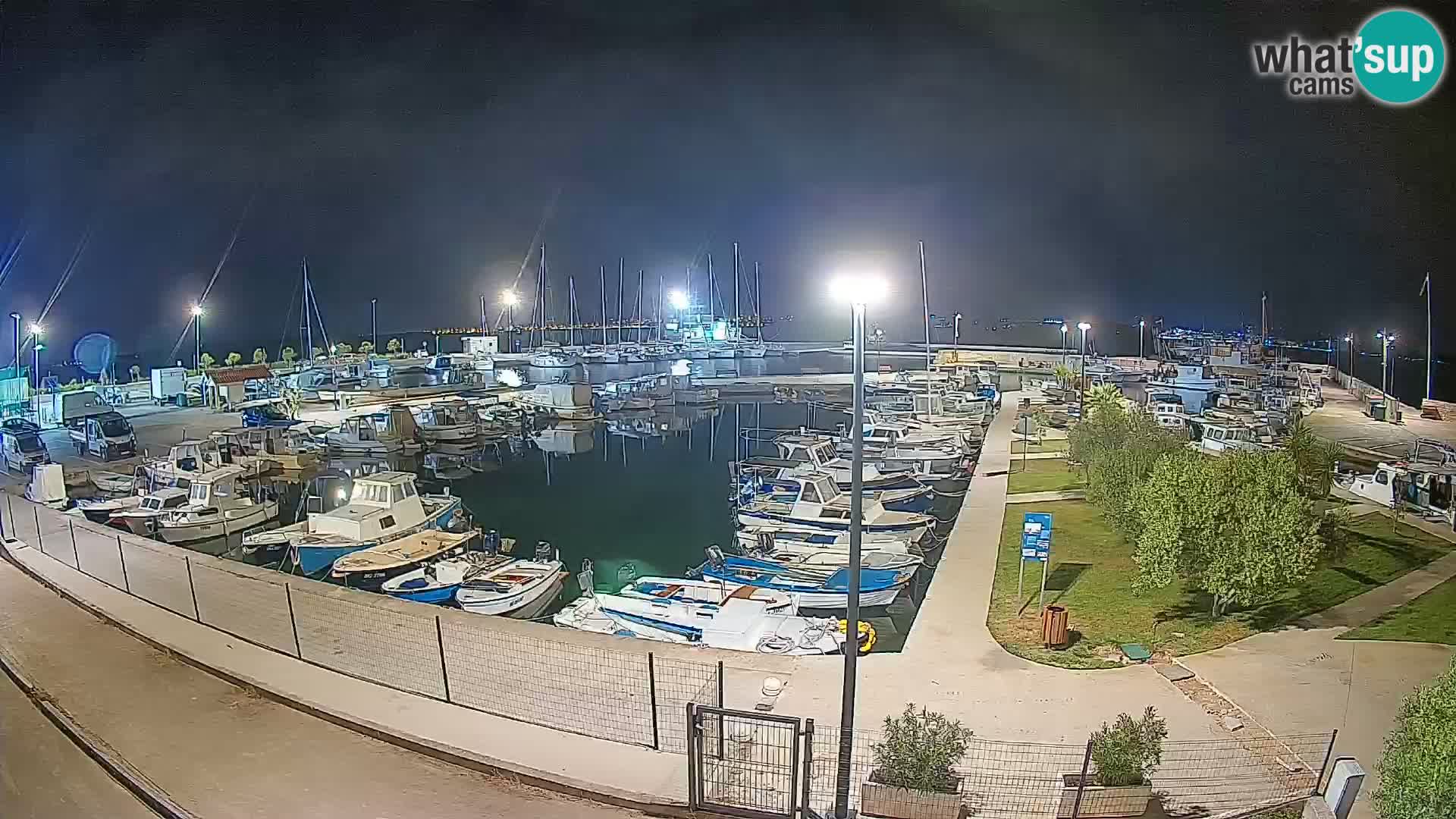 Webcam Live Tkon – Yachthafen
