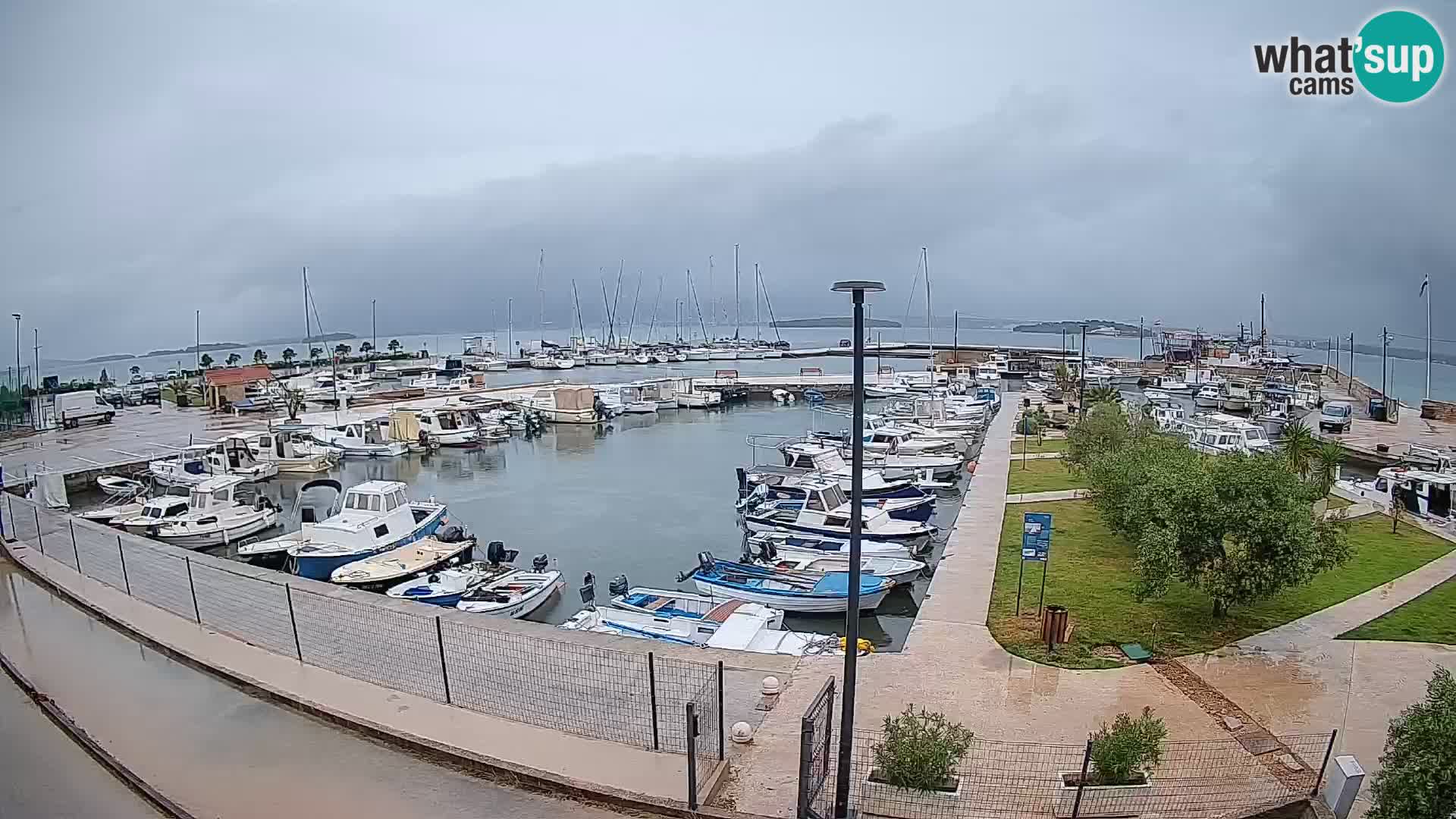 Spletna kamera Tkon – Marina