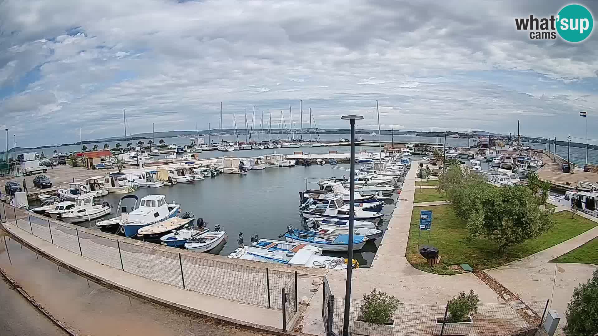 Spletna kamera Tkon – Marina