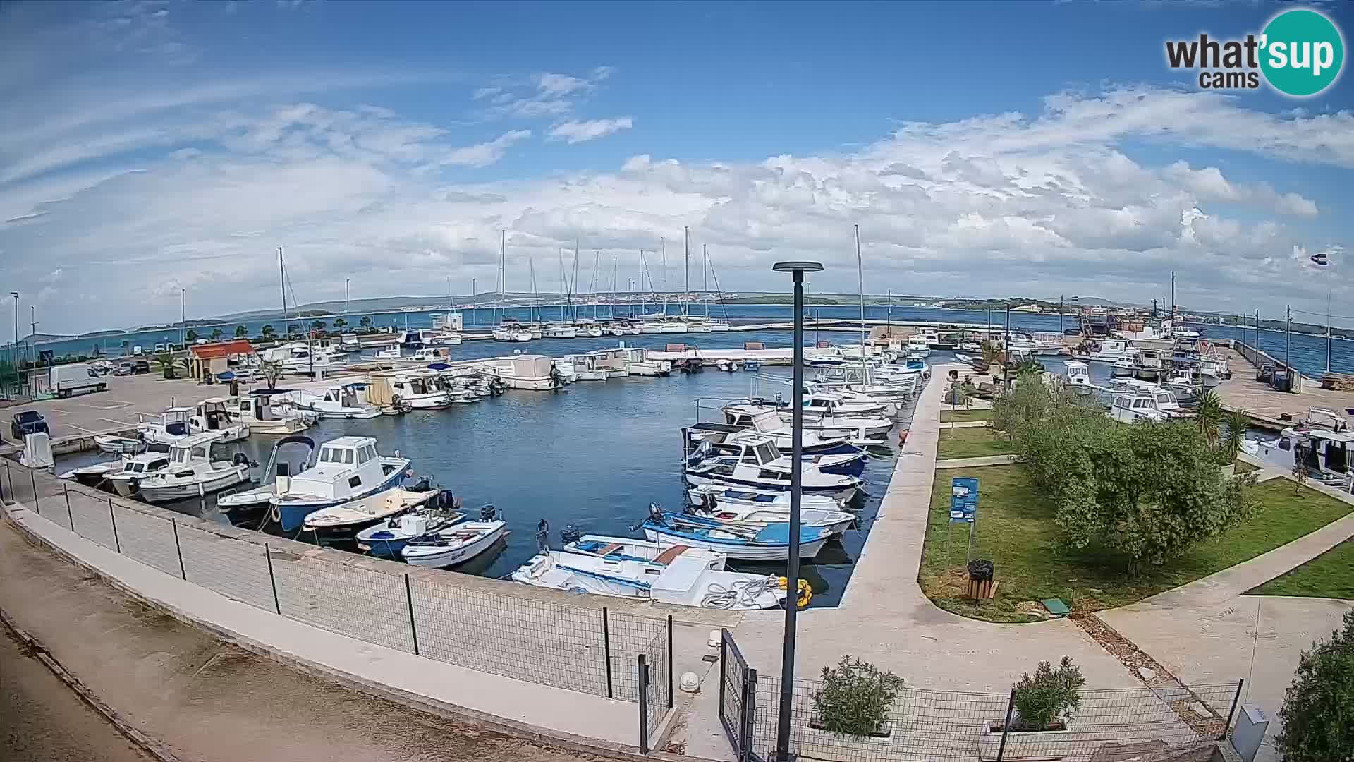 Spletna kamera Tkon – Marina