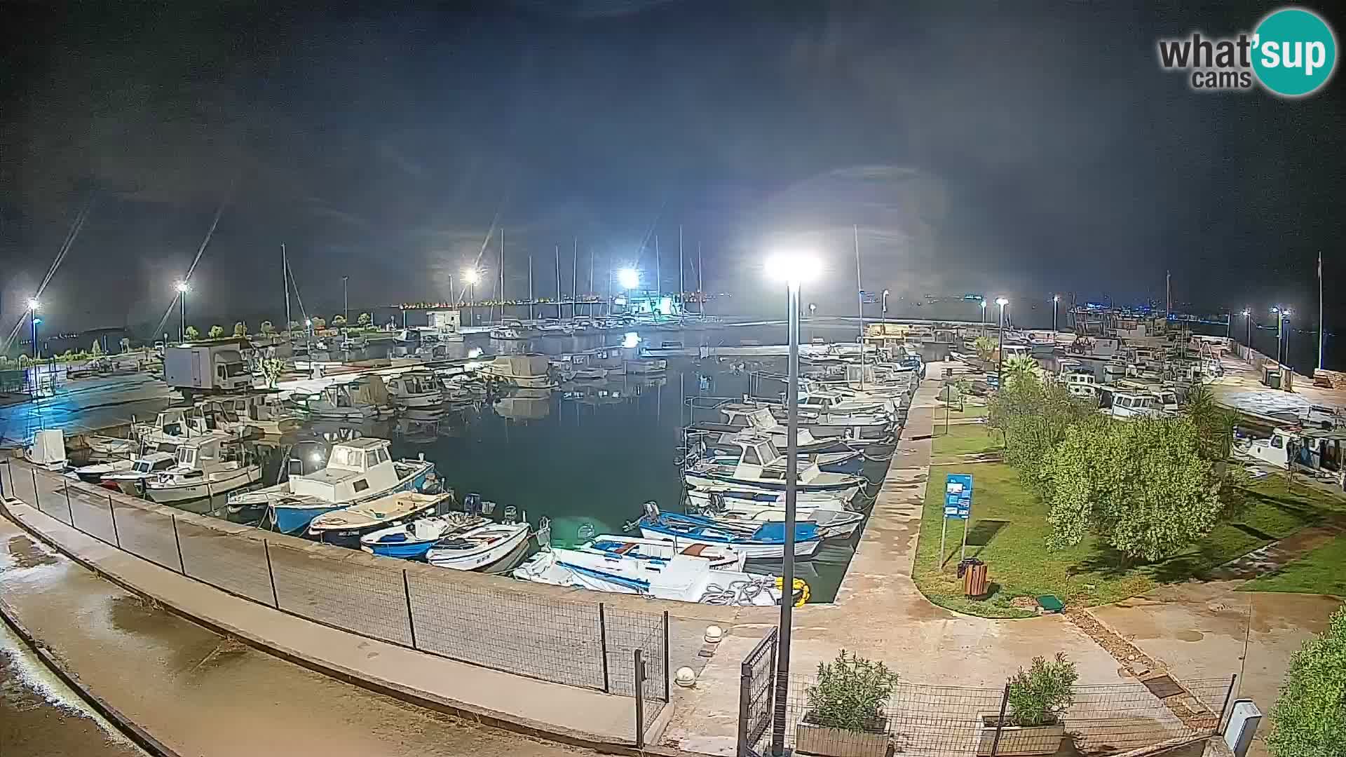 Spletna kamera Tkon – Marina