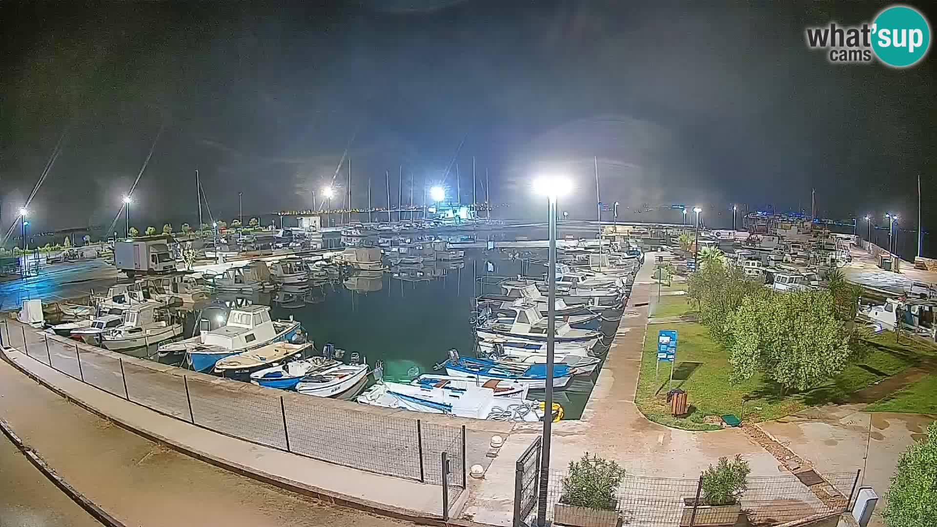 Webcam Live Tkon – puerto deportivo