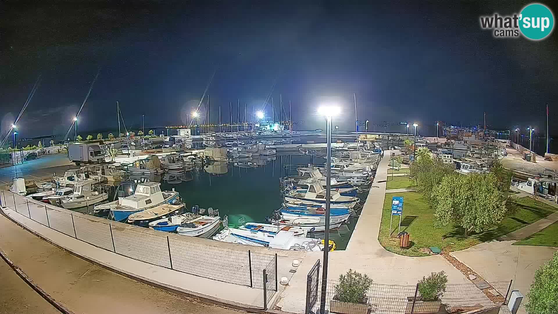 Spletna kamera Tkon – Marina