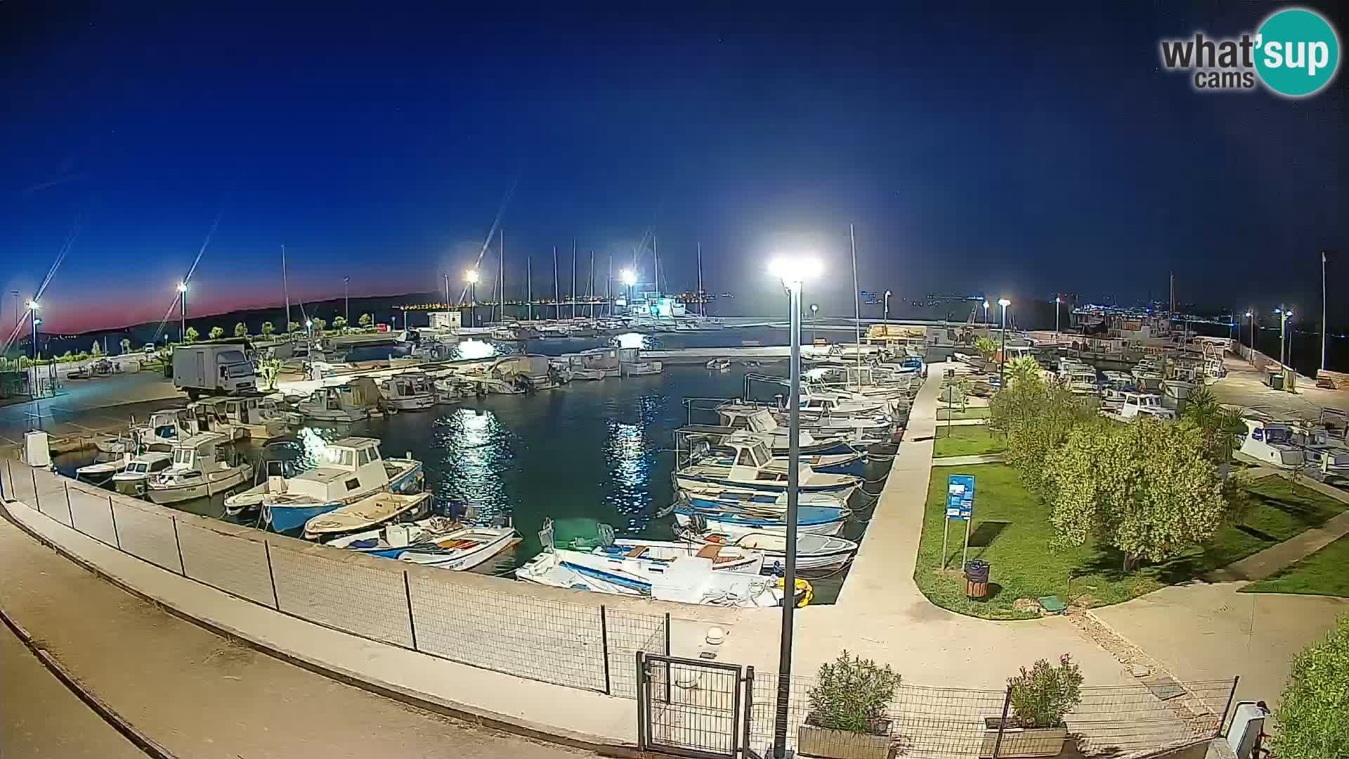 Webcam Live Tkon – Marina