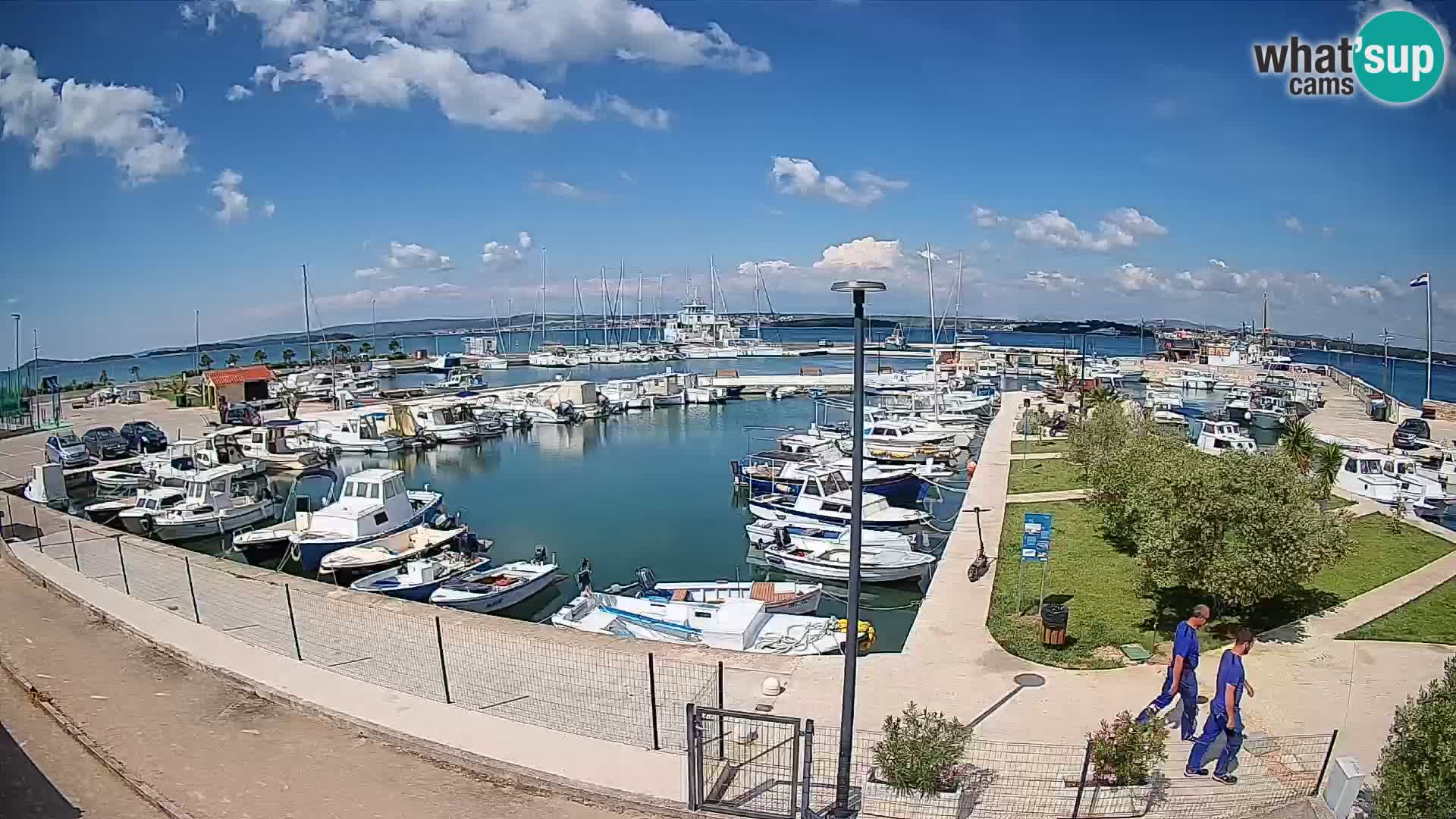 Webcam Live Tkon – puerto deportivo