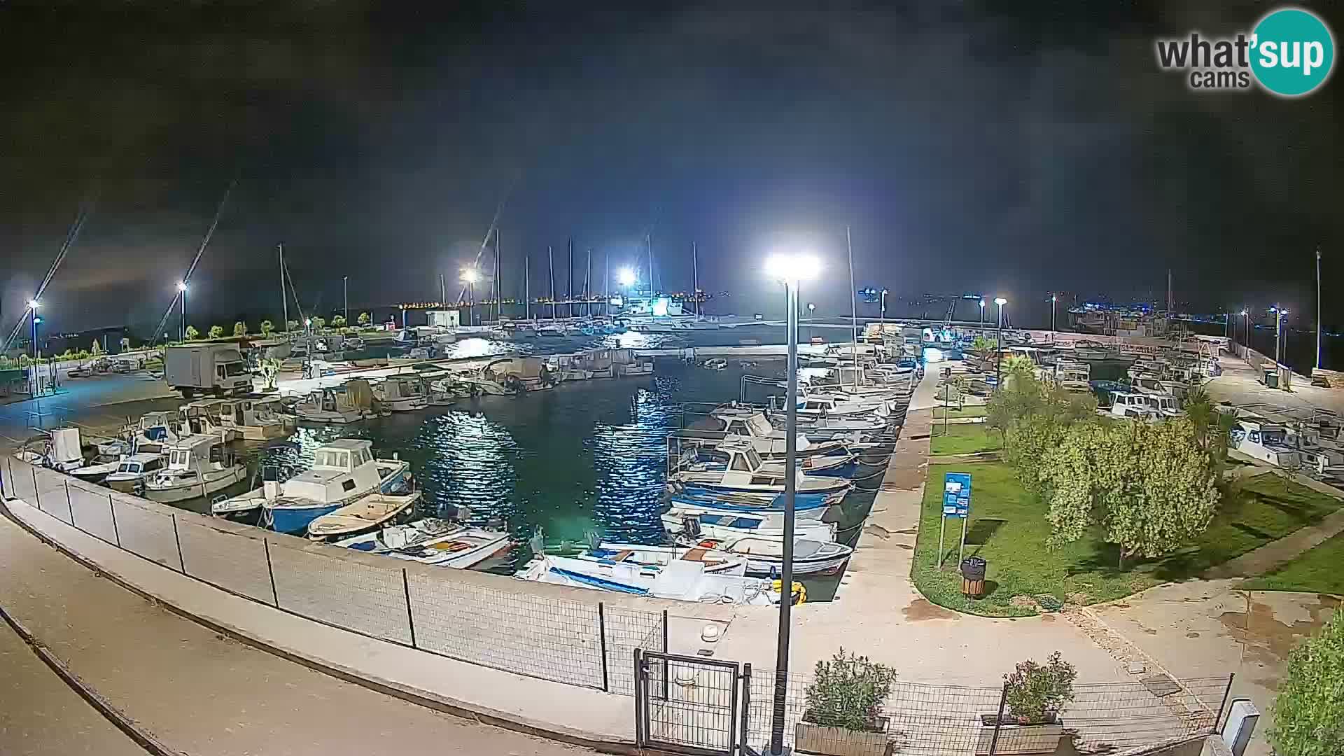 Webcam Live Tkon – Marina