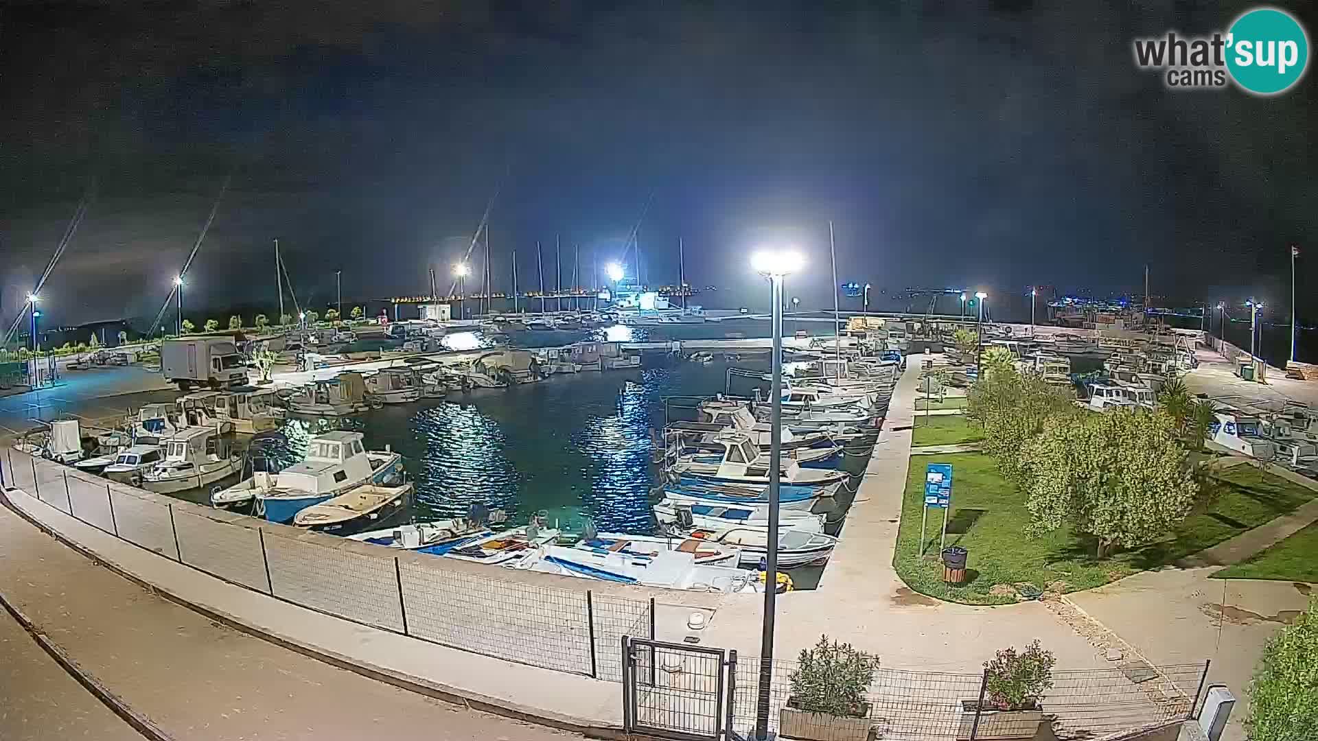 Webcam Live Tkon – Marina