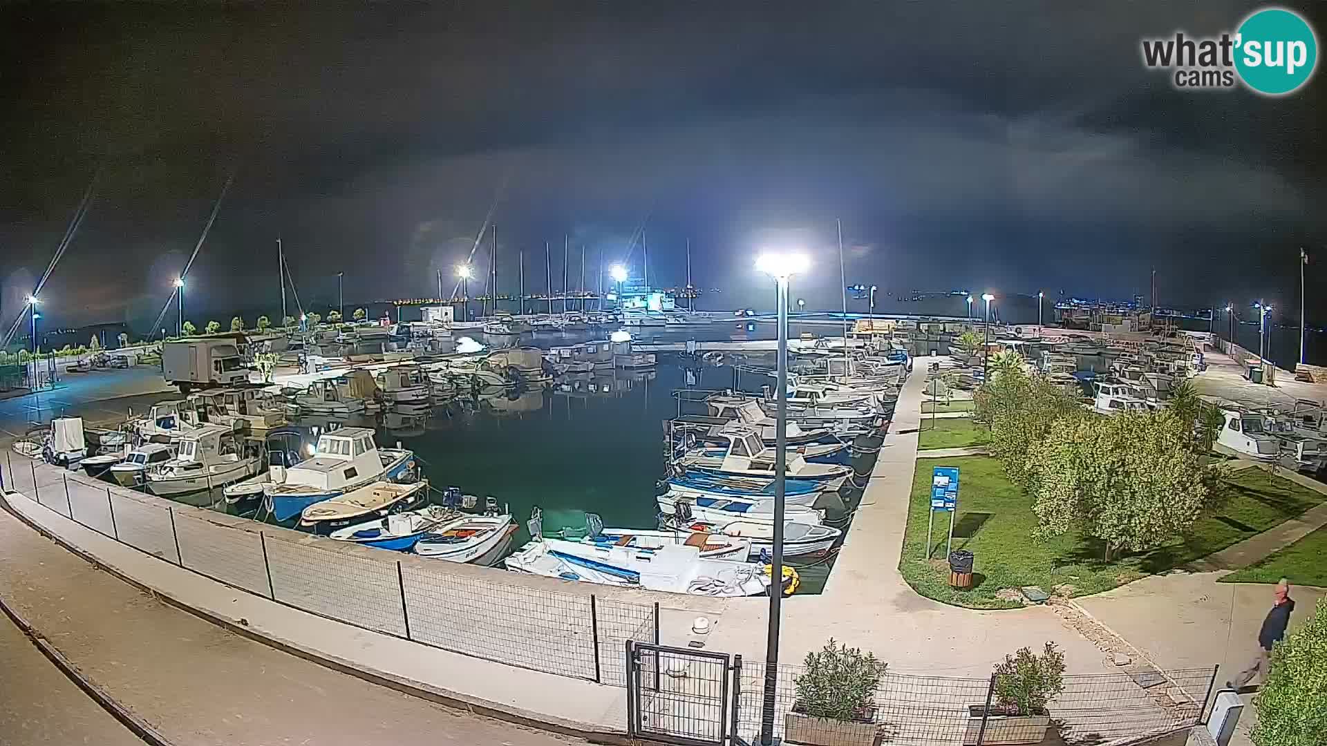 Spletna kamera Tkon – Marina