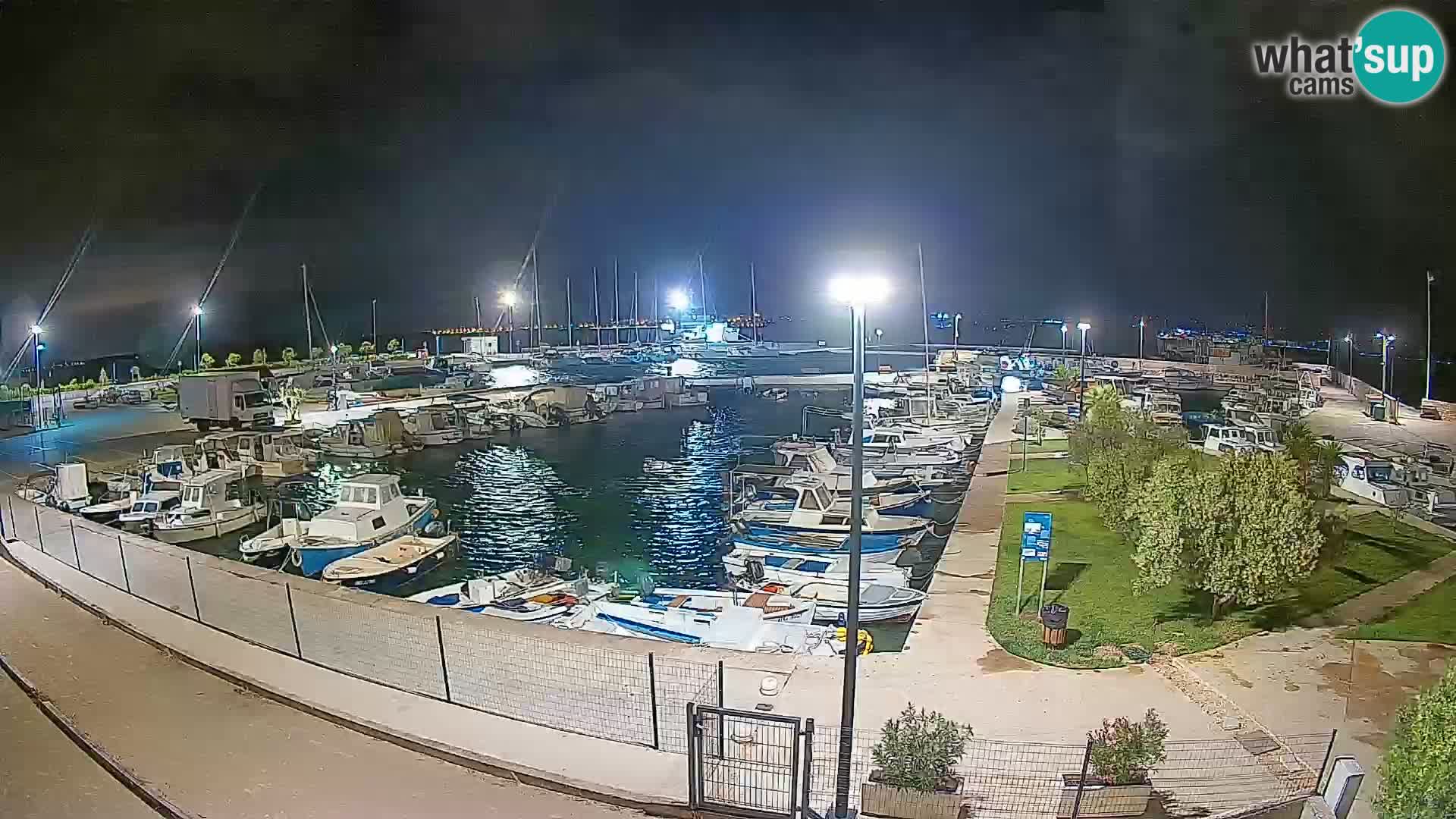 Webcam Live Tkon – Marina