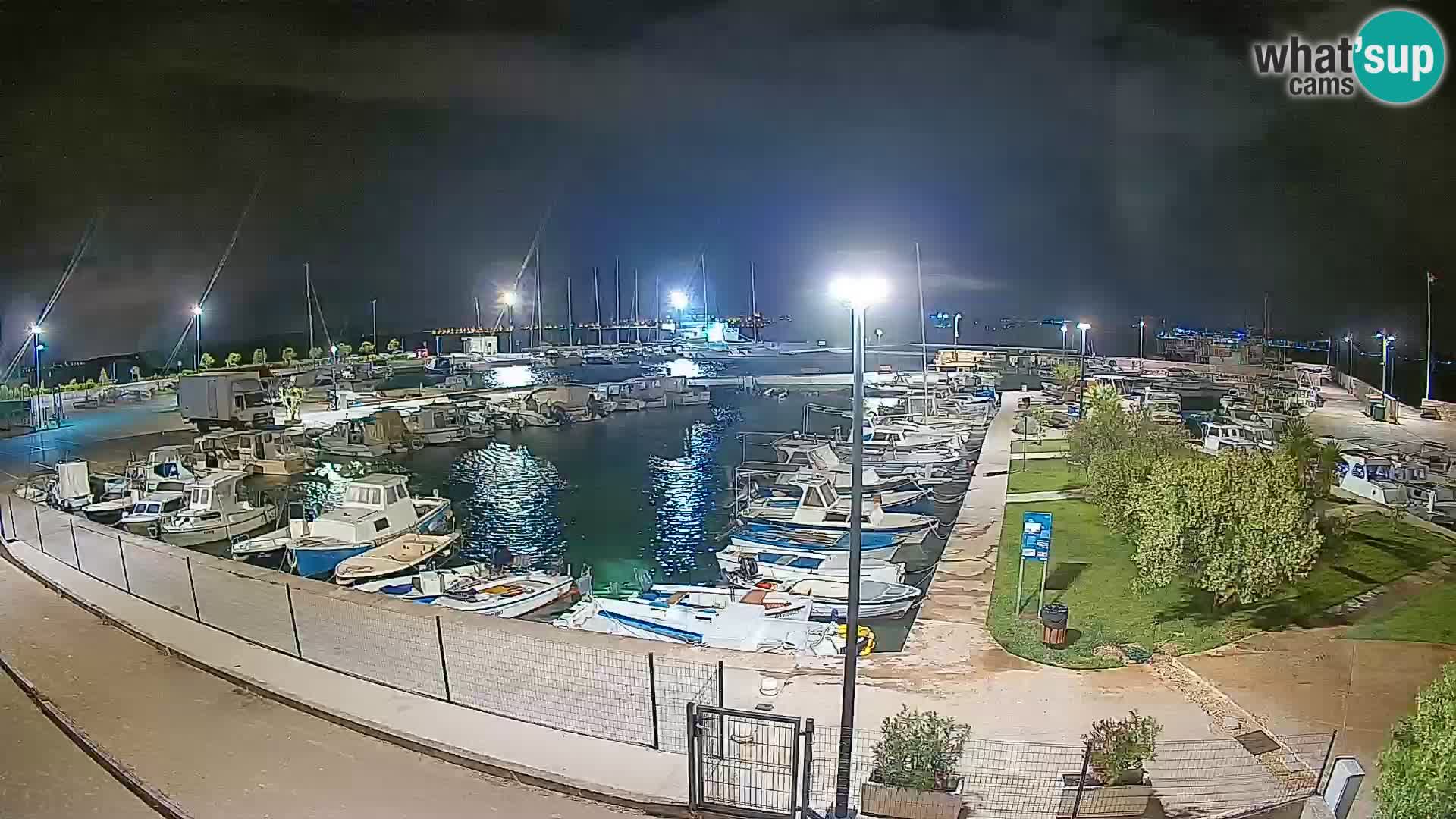 Webcam Live Tkon – Marina
