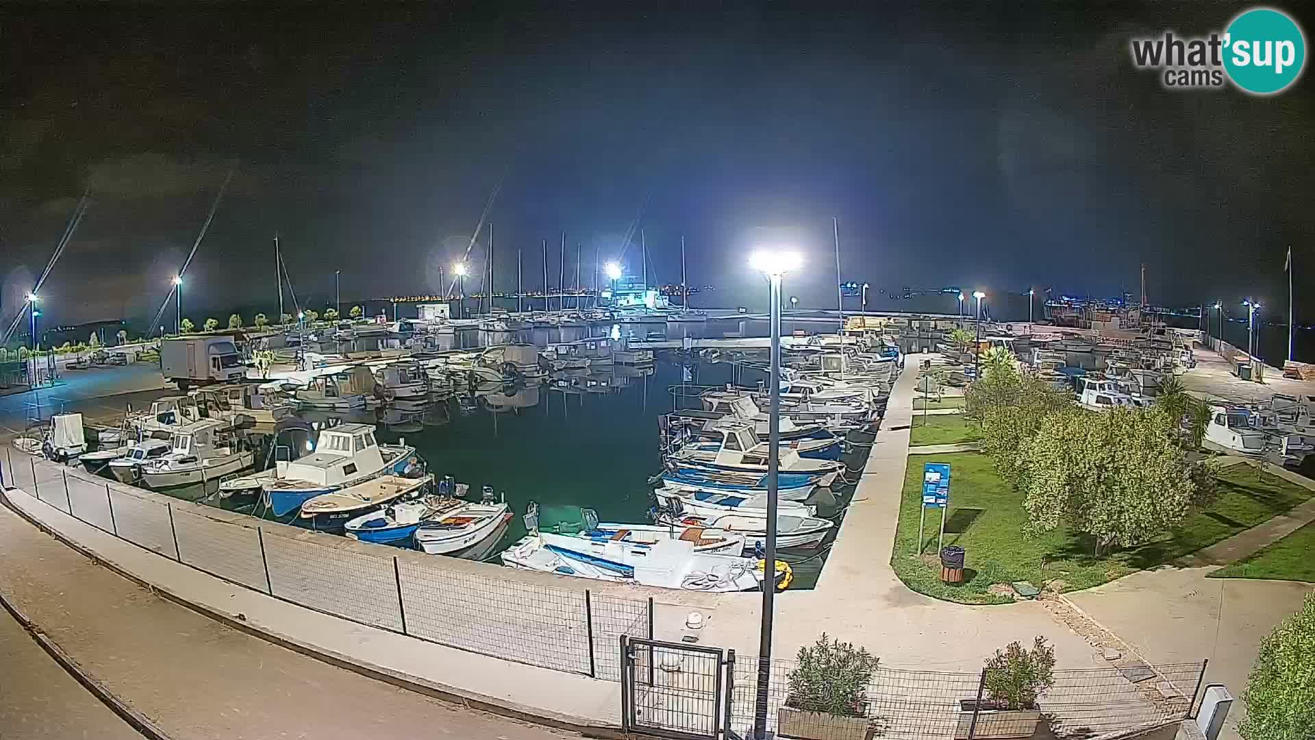 Webcam Live Tkon – Marina