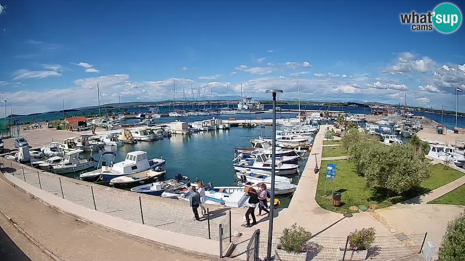 Webcam Live Tkon – puerto deportivo