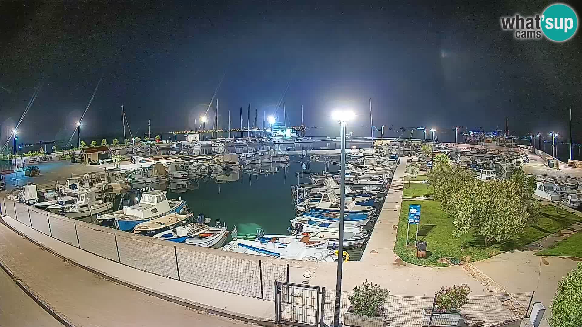 Webcam Live Tkon – Marina