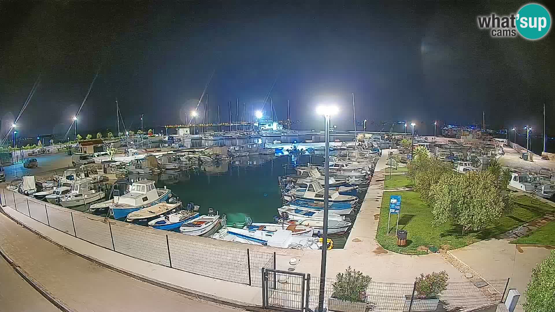 Spletna kamera Tkon – Marina
