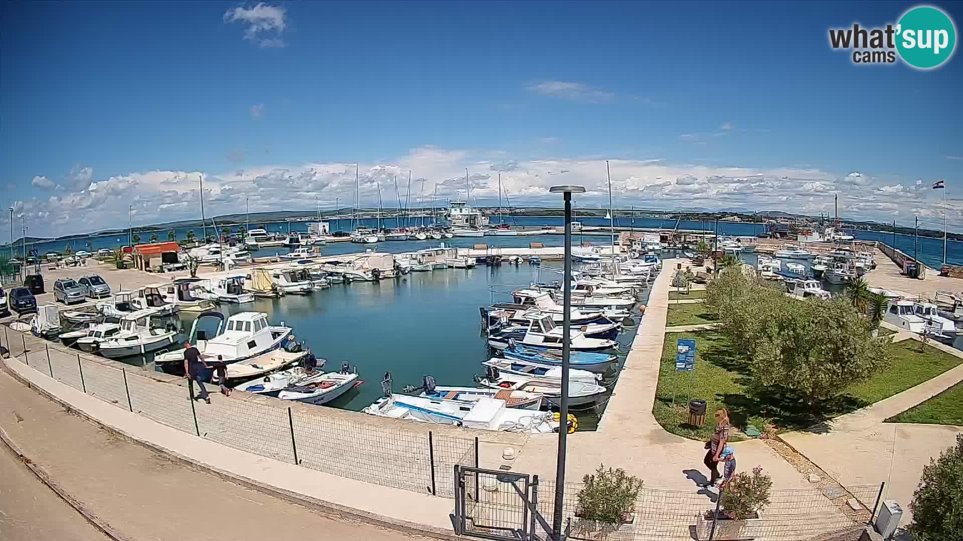 Webcam Live Tkon – puerto deportivo