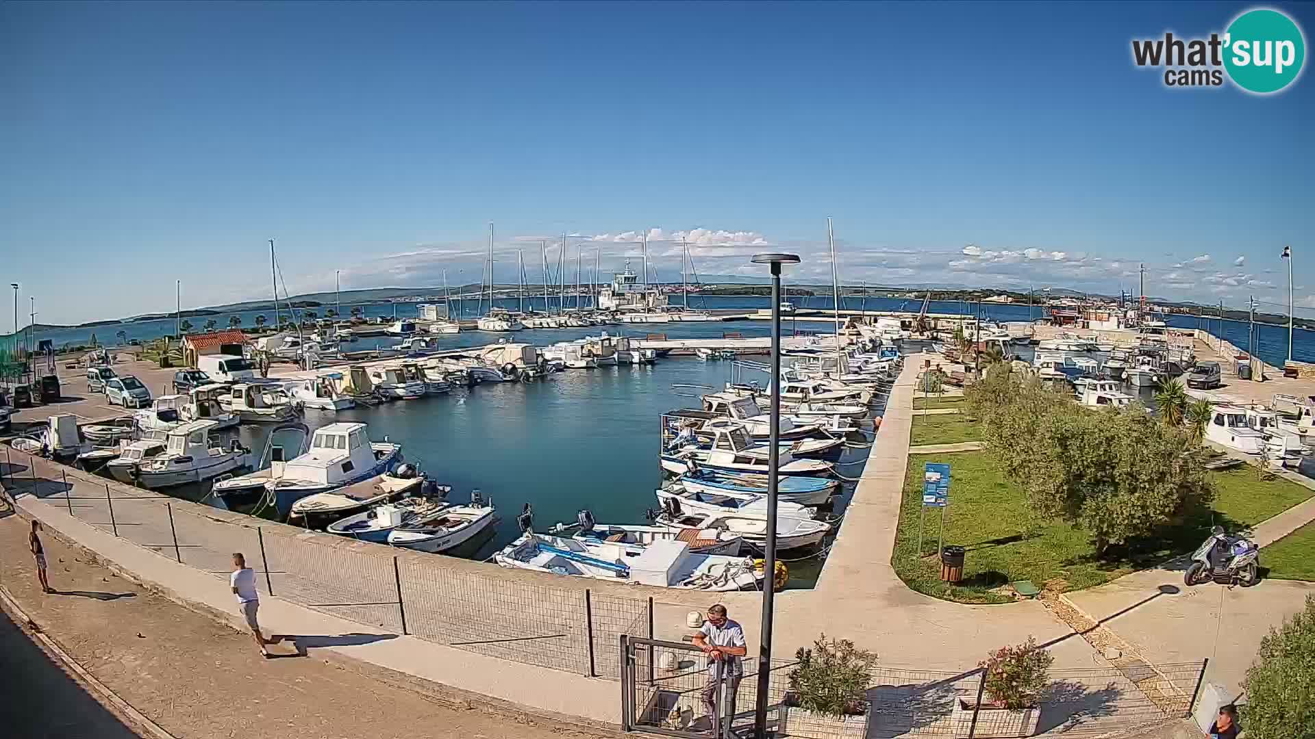 Webcam Live Tkon – puerto deportivo