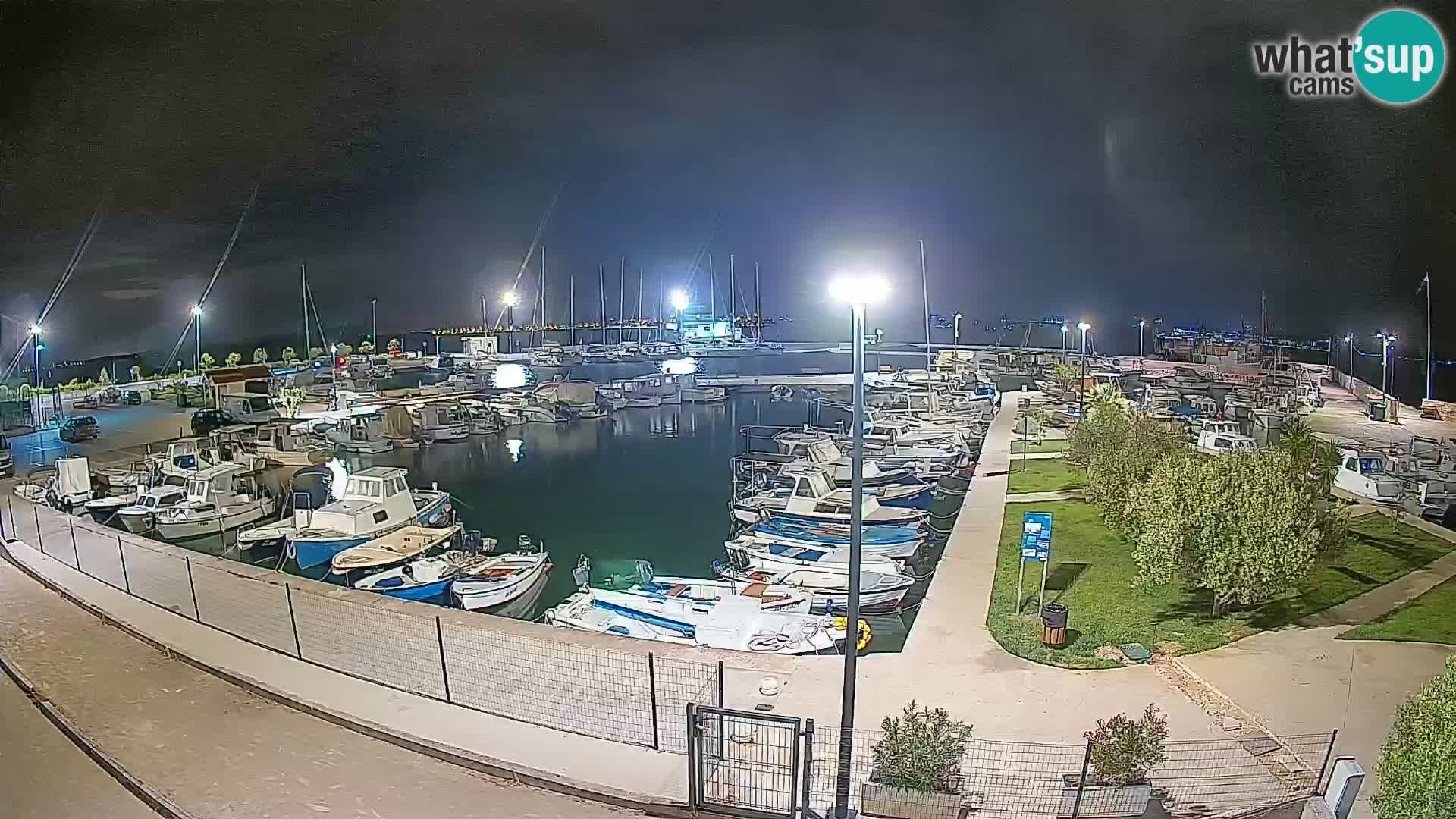 Spletna kamera Tkon – Marina