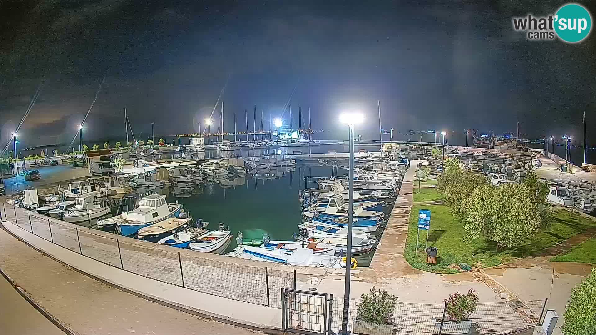 Spletna kamera Tkon – Marina
