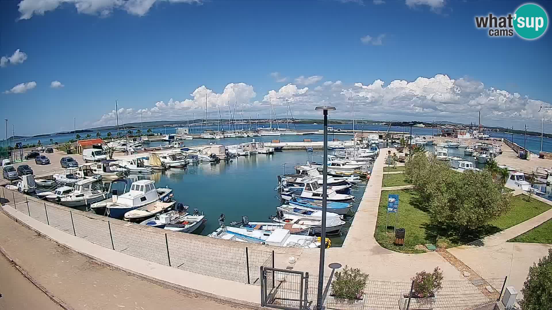 Webcam Live Tkon – puerto deportivo
