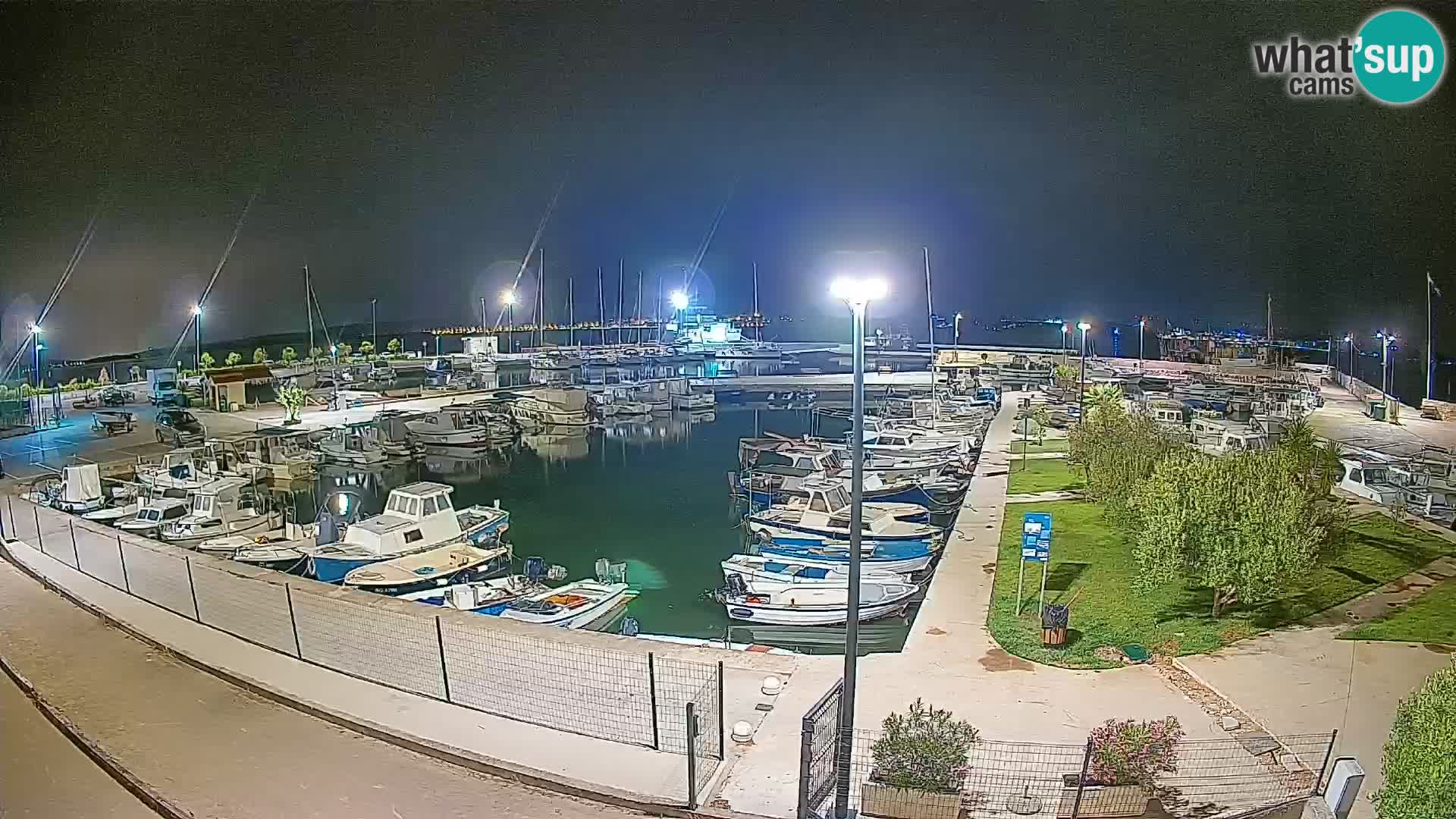Webcam Live Tkon – puerto deportivo