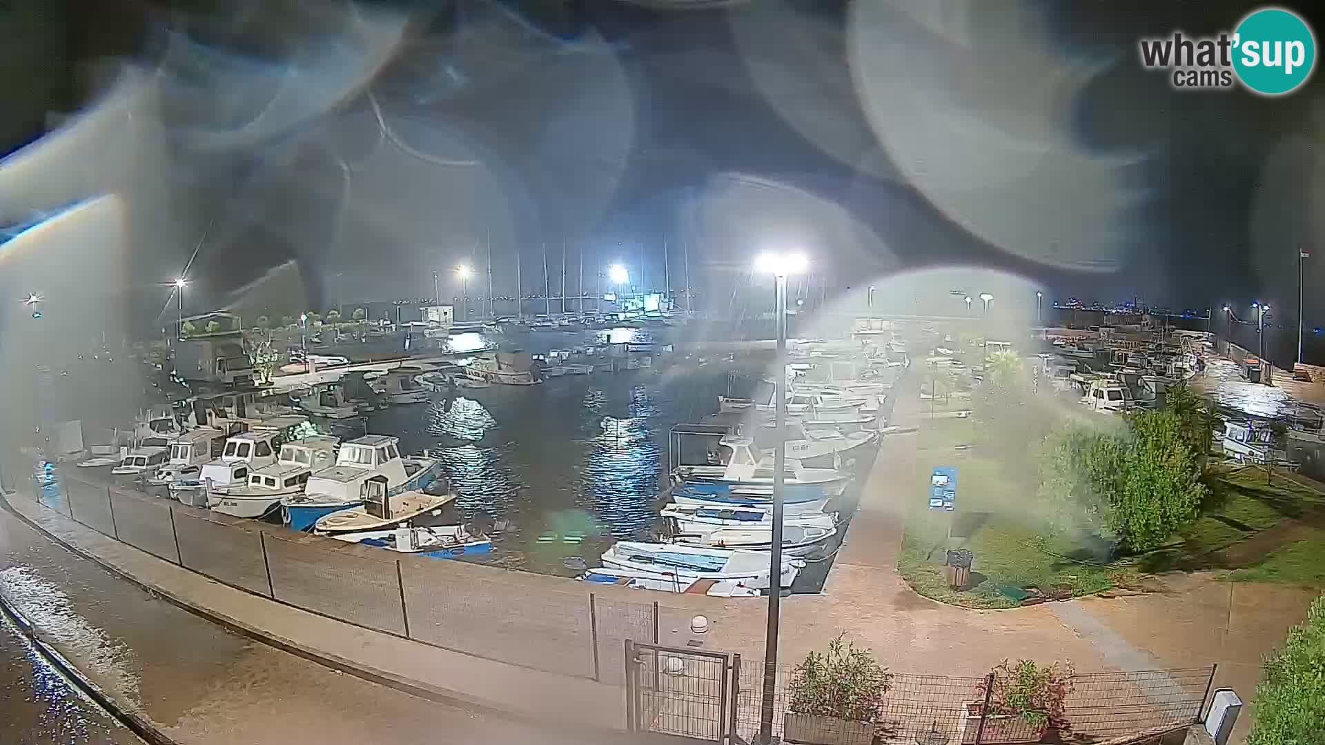 Spletna kamera Tkon – Marina