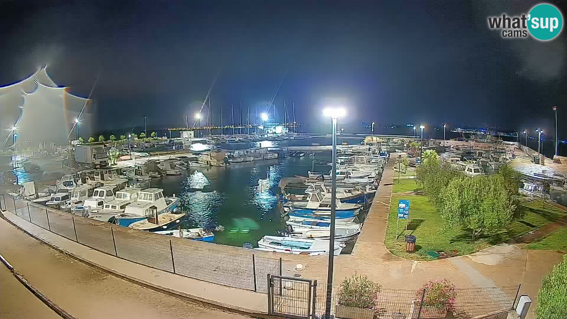 Spletna kamera Tkon – Marina