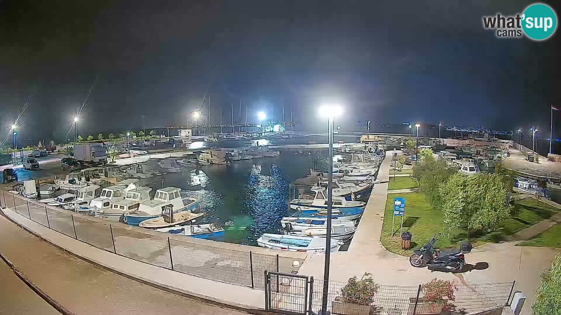 Webcam Live Tkon – port de plaisance