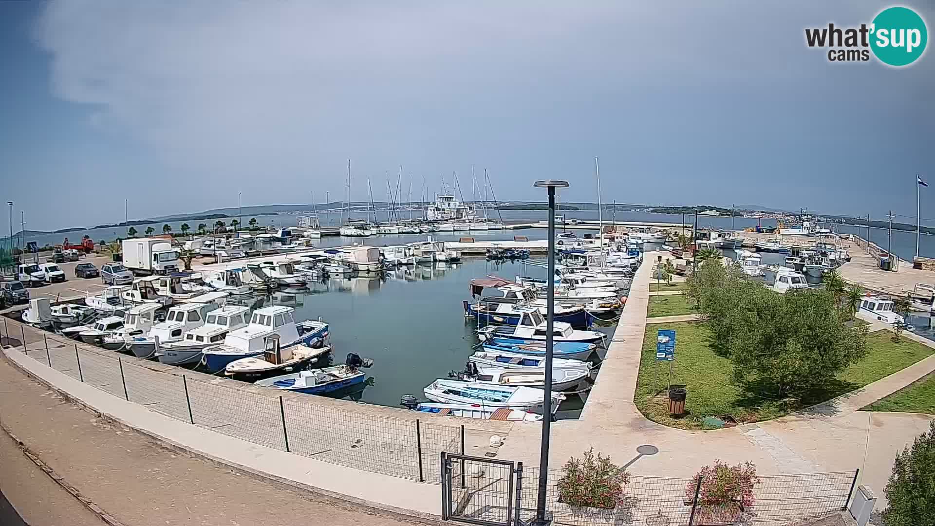 Spletna kamera Tkon – Marina
