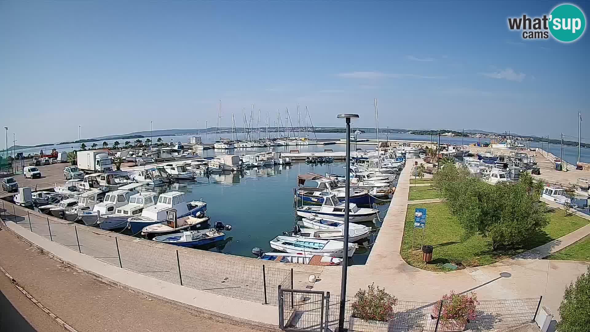 Webcam Live Tkon – puerto deportivo