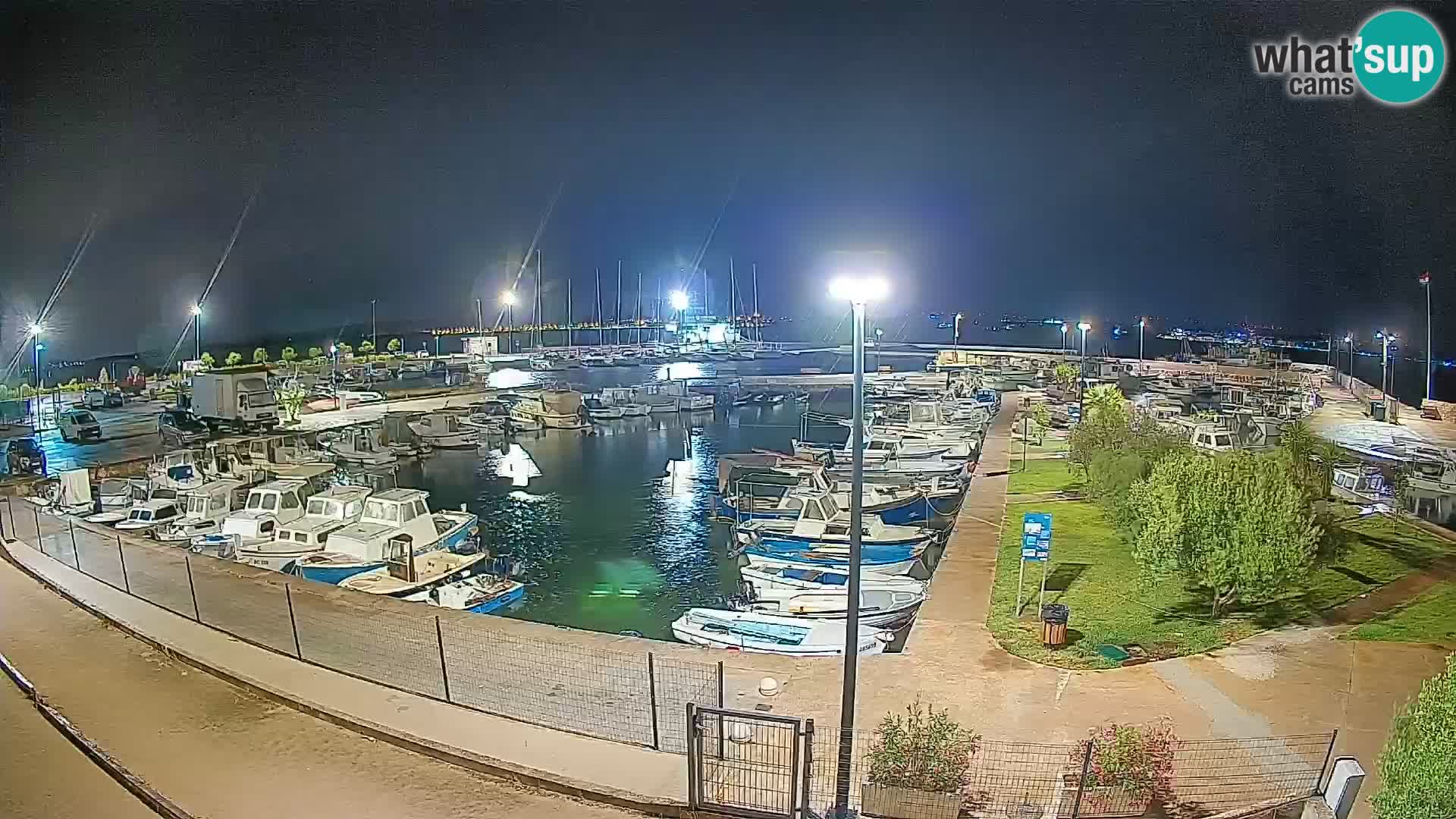 Webcam Live Tkon – puerto deportivo