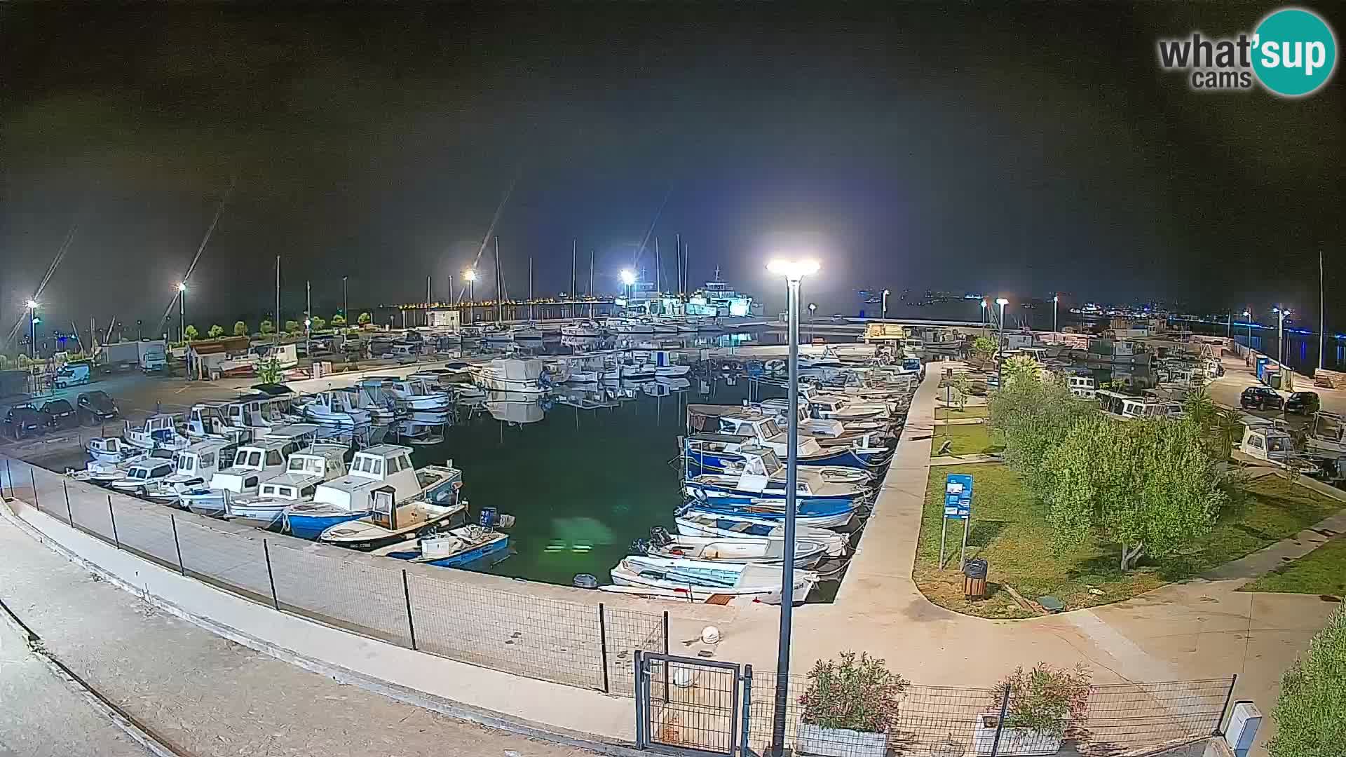 Web kamera Tkon – Marina