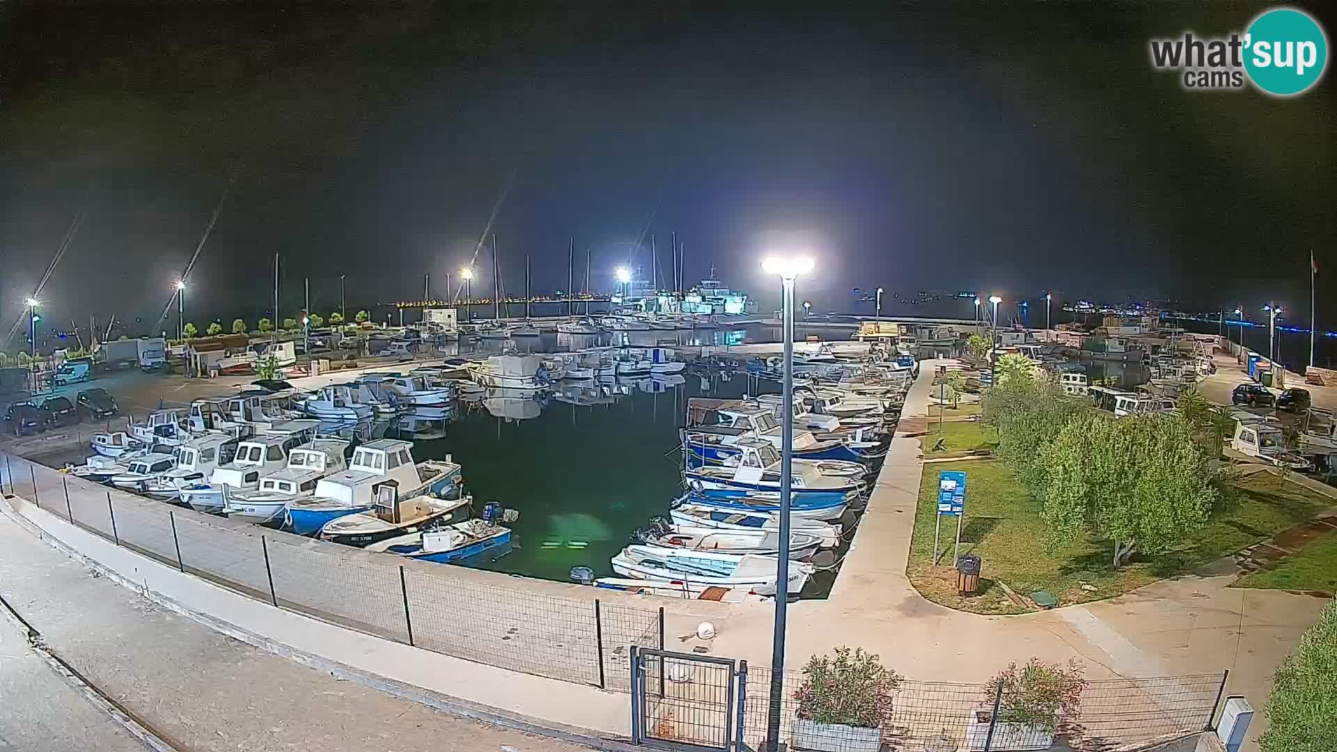 Webcam Live Tkon – Marina