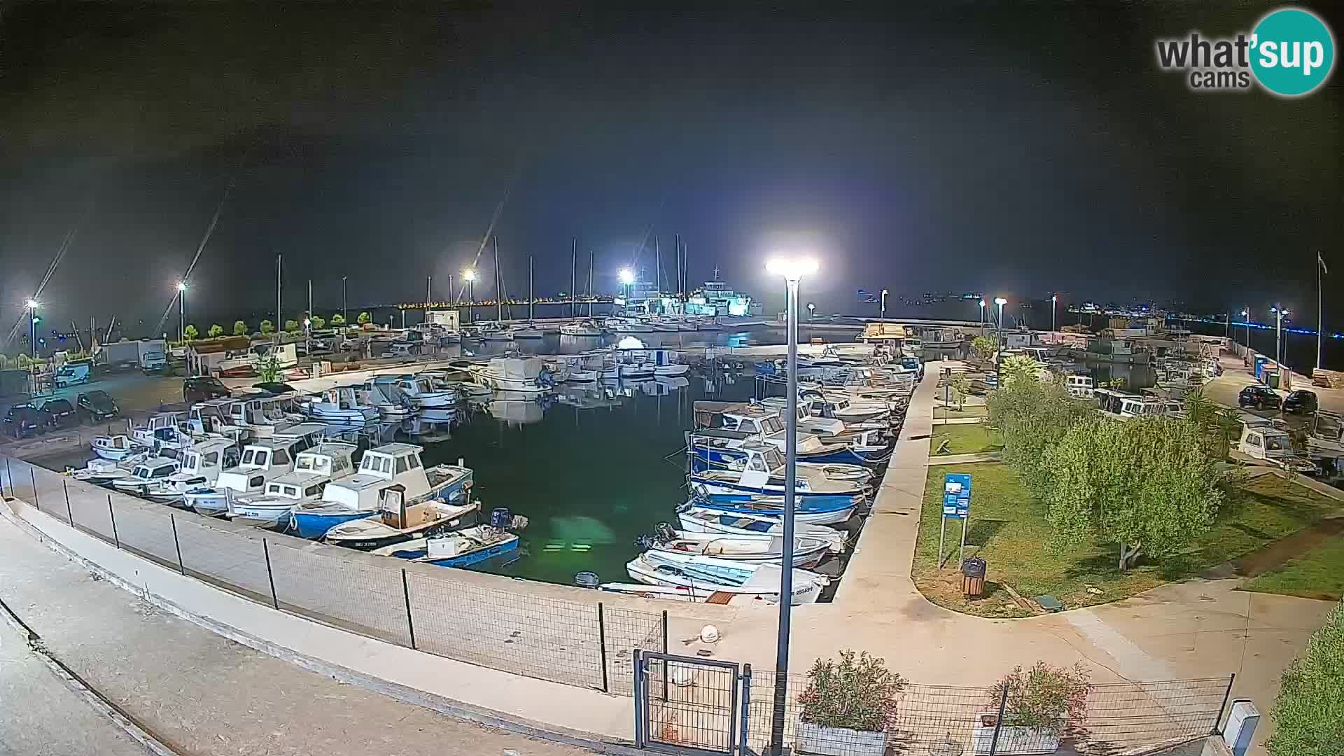 Webcam Live Tkon – Marina