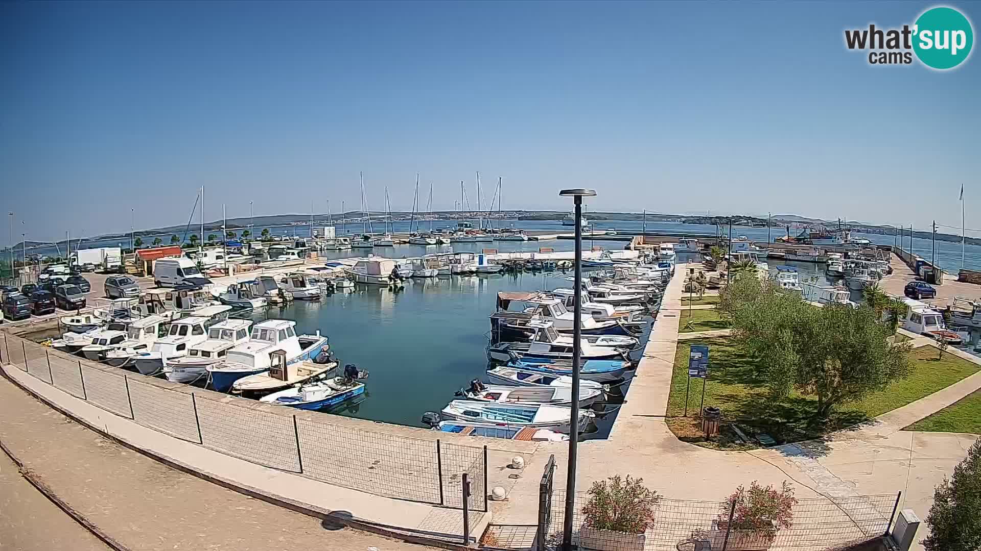 Spletna kamera Tkon – Marina
