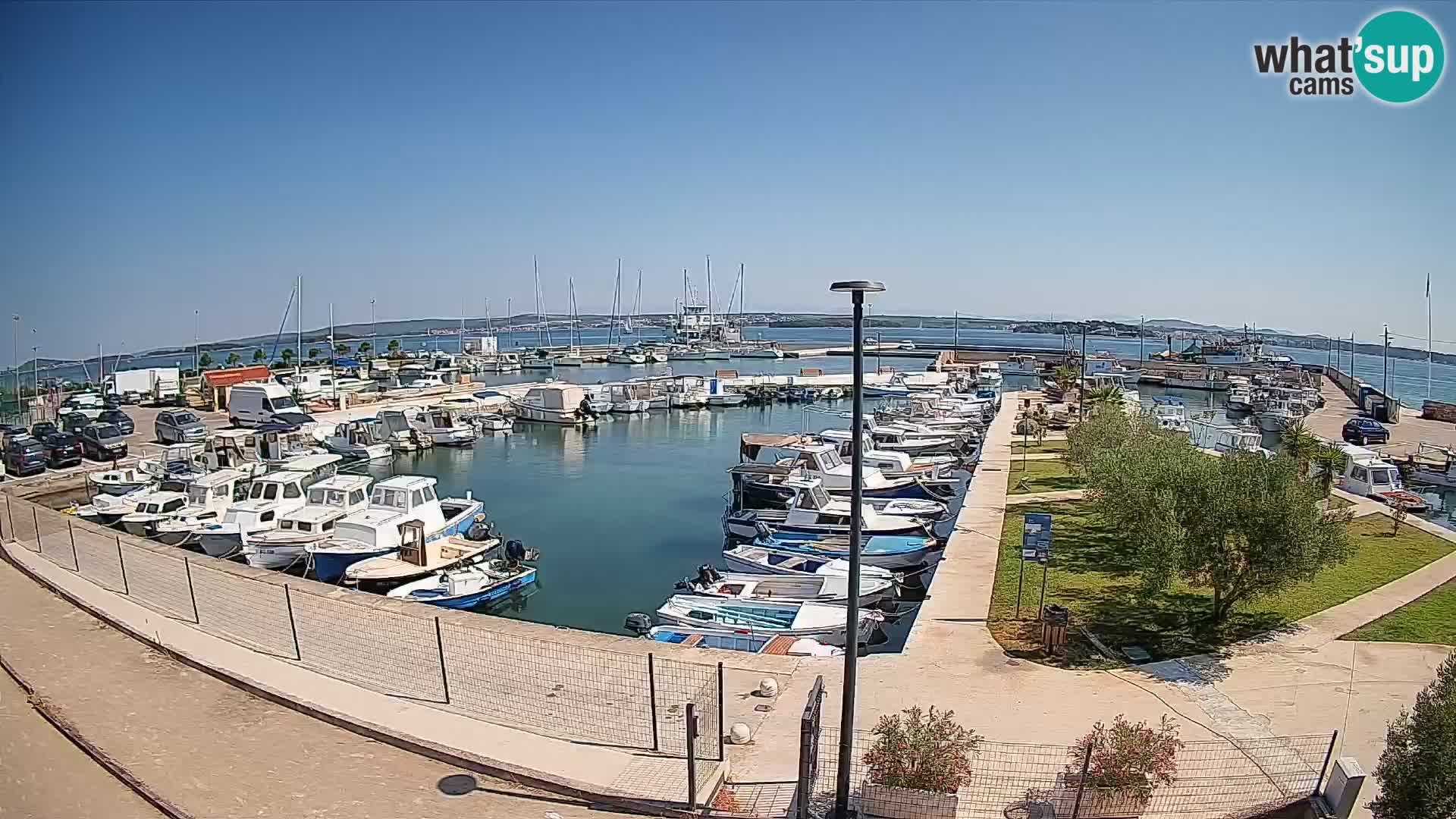 Spletna kamera Tkon – Marina