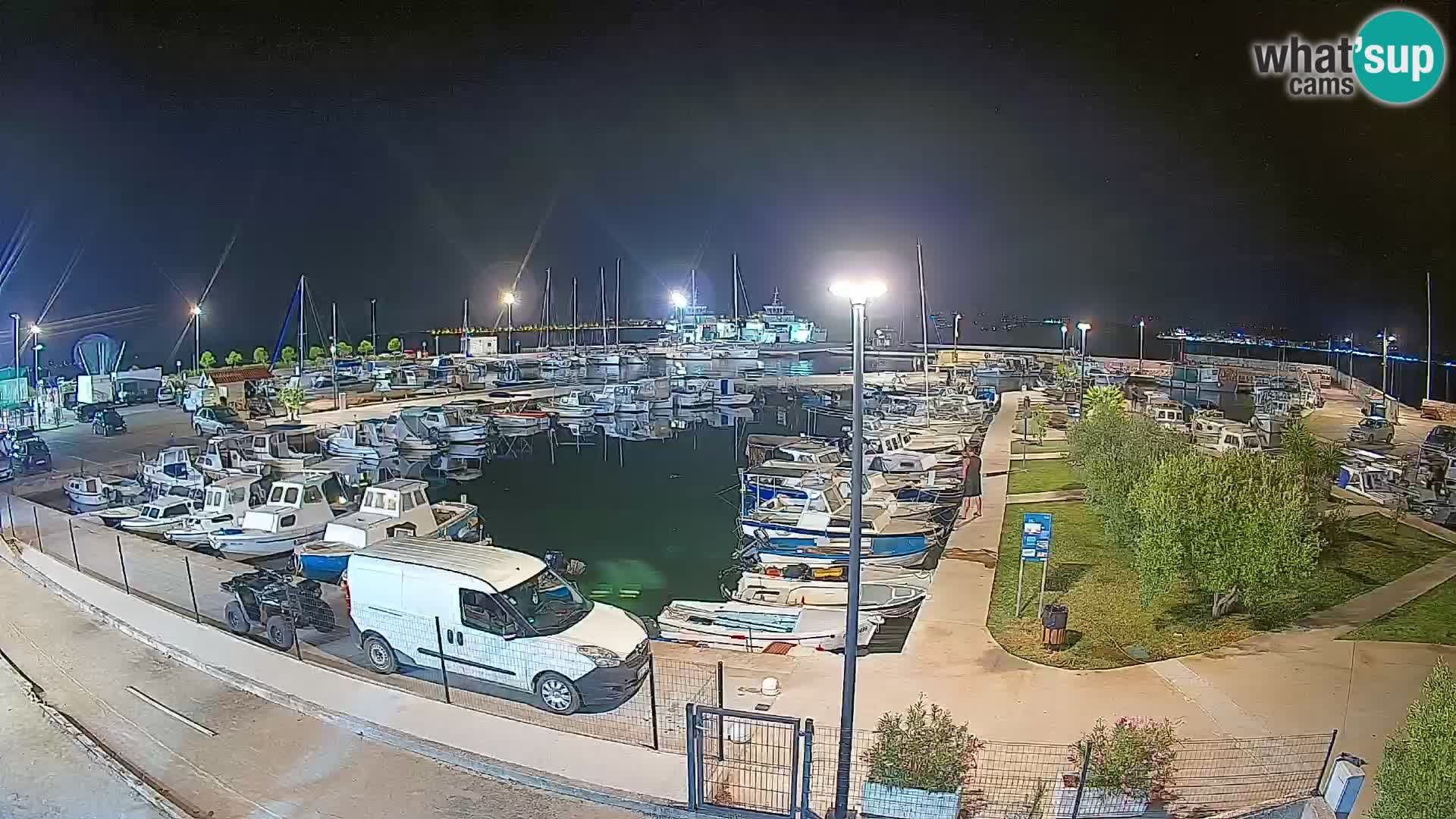 Webcam Live Tkon – Marina
