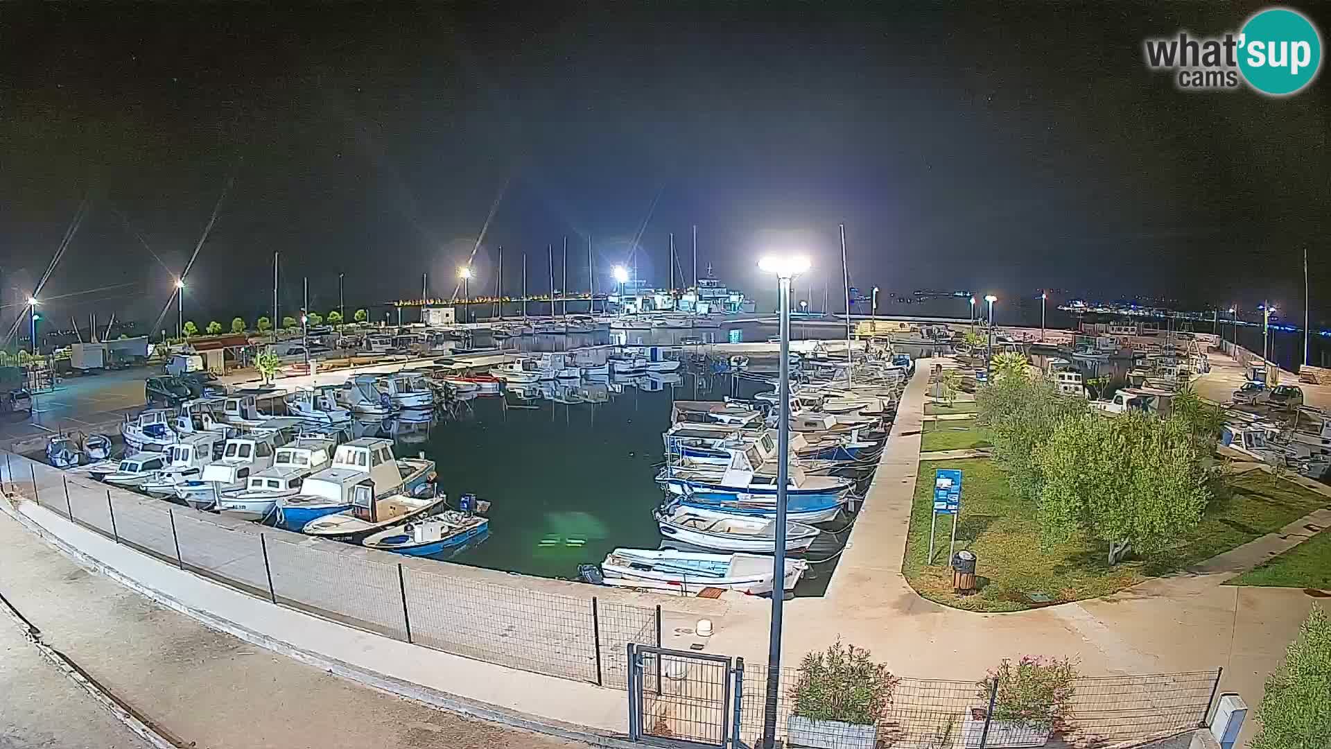 Webcam Live Tkon – Yachthafen