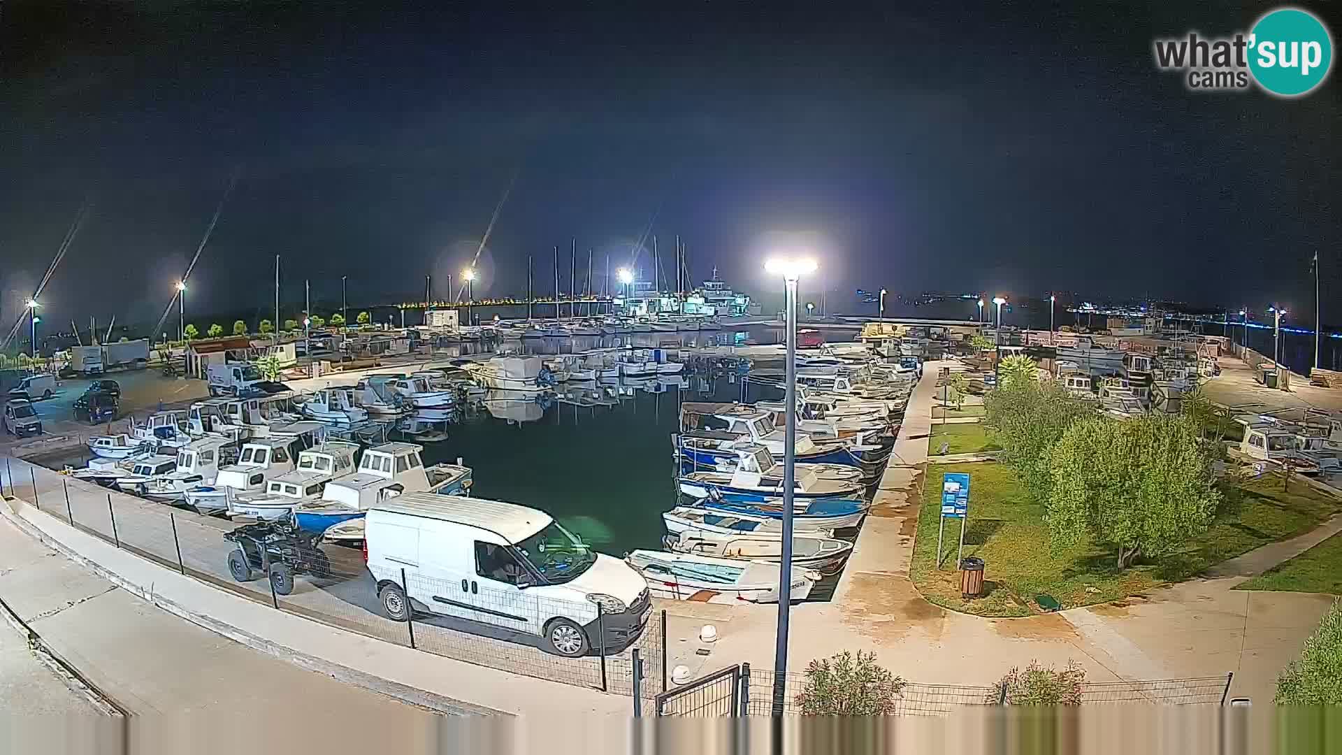 Webcam Live Tkon – puerto deportivo