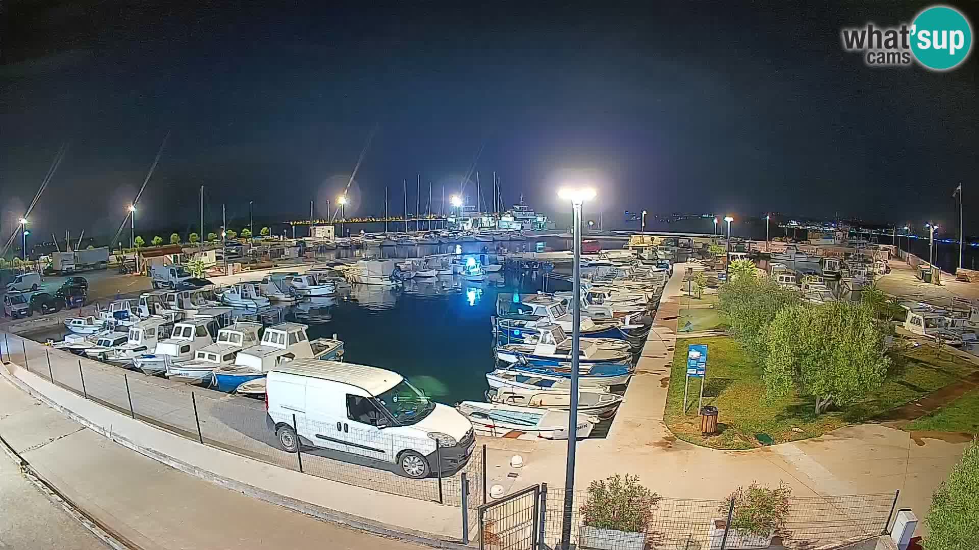 Web kamera Tkon – Marina