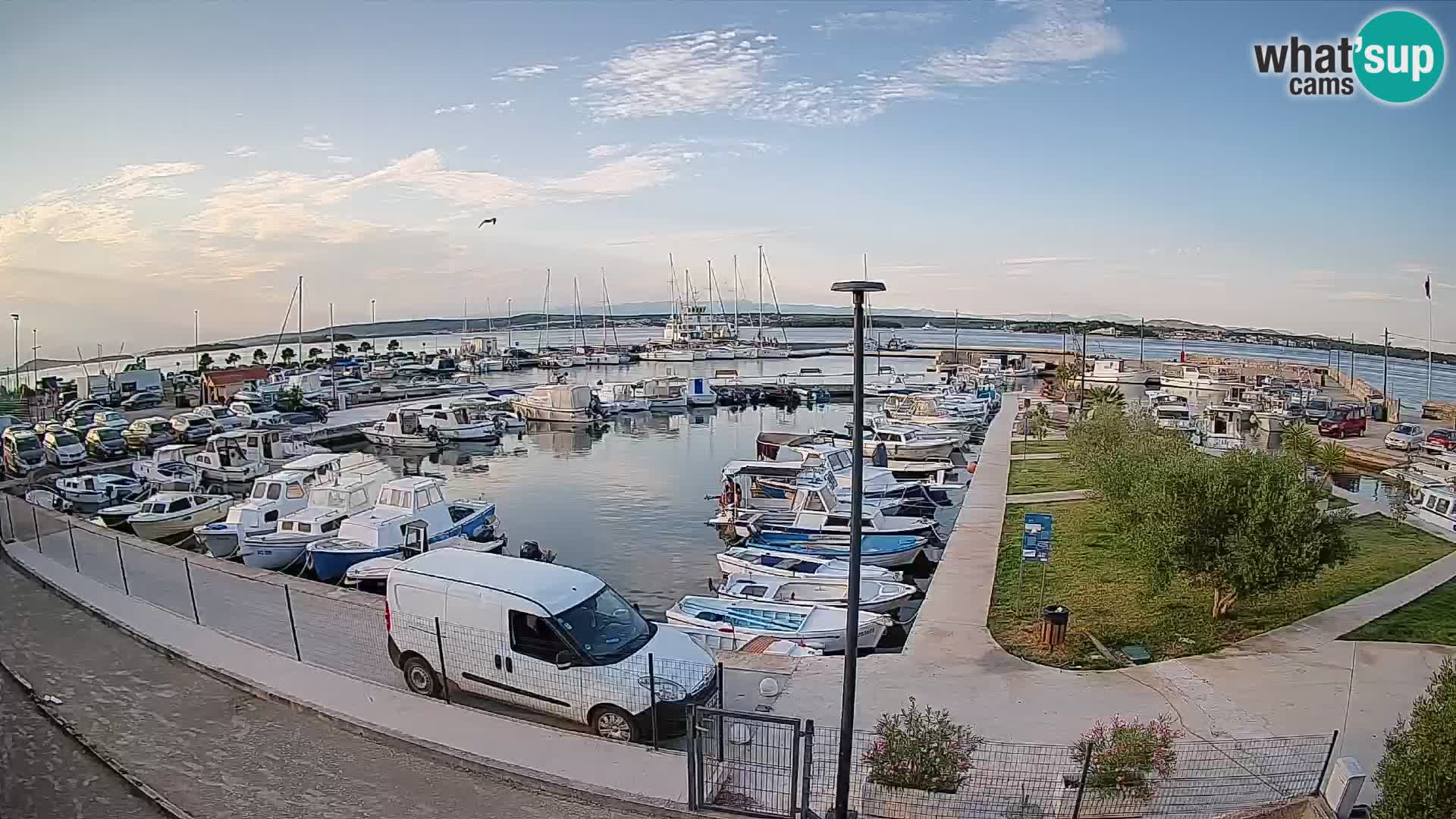 Webcam Live Tkon – puerto deportivo